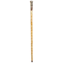 Used Unique Walking Stick / Strolling Stick 19th Century, Bone