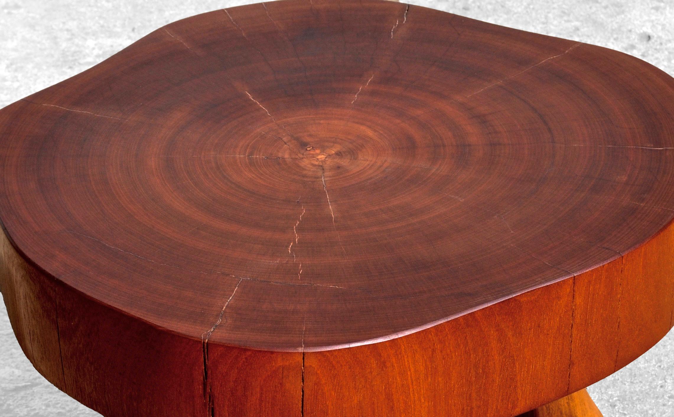 Unique walnut signed table by Jörg Pietschmann
Materials: Padouk, European walnut
Measures: W 64 x D 63 x H 43 cm

In Pietschmann’s sculptures, trees that for centuries were part of a landscape and founded in primordial forces tell stories