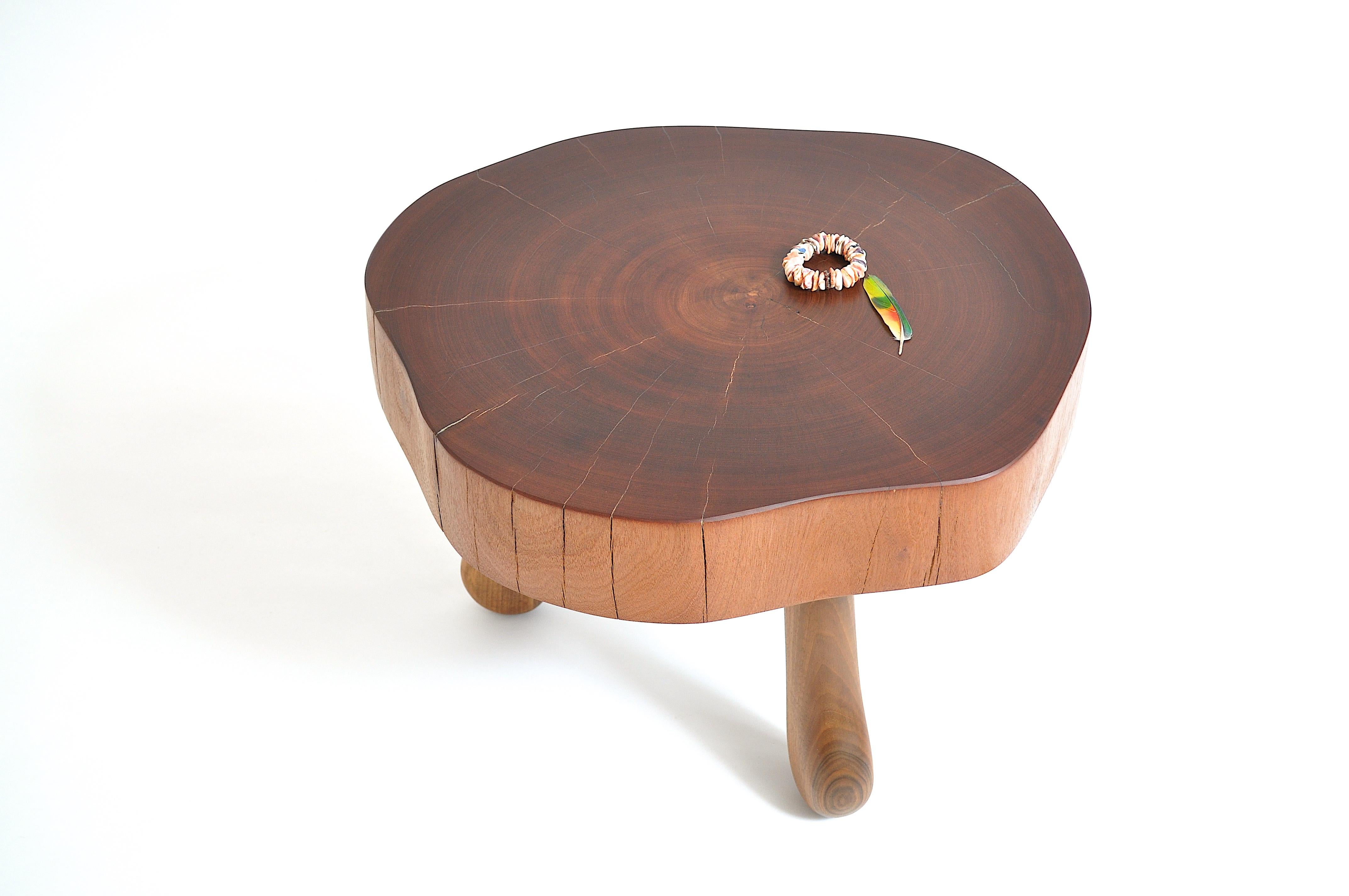 Polished Unique Walnut Signed Table by Jörg Pietschmann