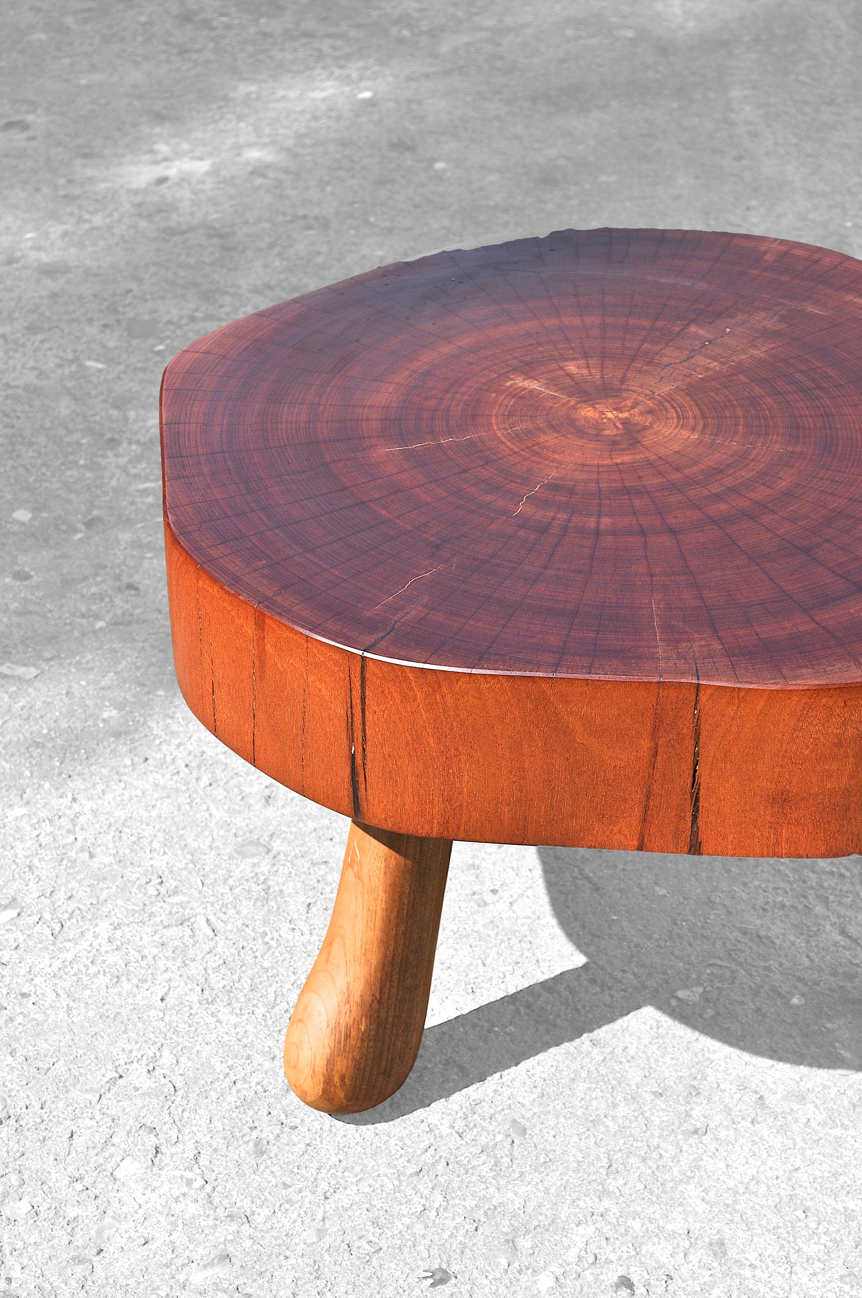 Unique Signed Table by Jörg Pietschmann In New Condition For Sale In Geneve, CH