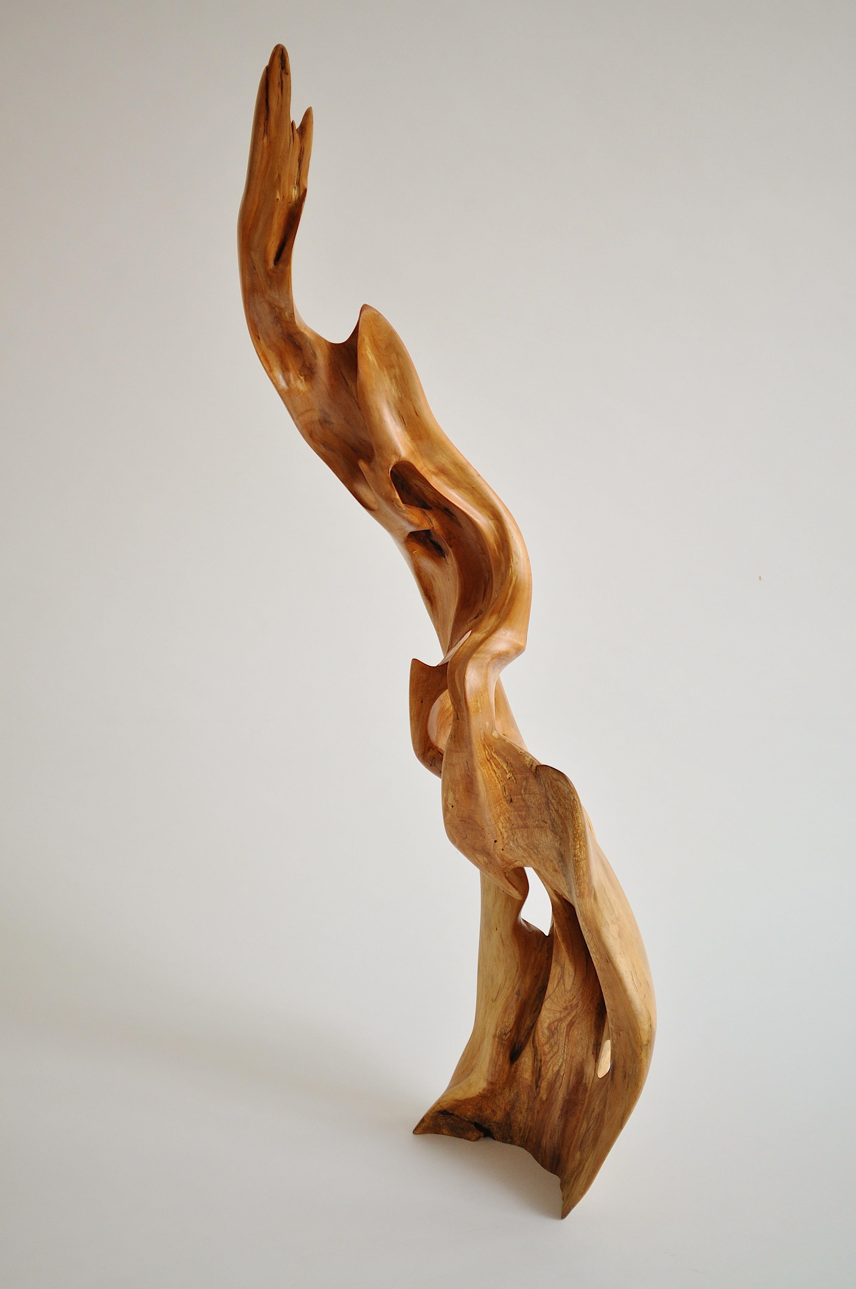 Unique willow sculpture signed by Jörg Pietschmann.
Materials: Tropical wood.
Measures: H 133 x W 39 x D 33 cm.

In Pietschmann’s sculptures, trees that for centuries were part of a landscape and founded in primordial forces tell stories