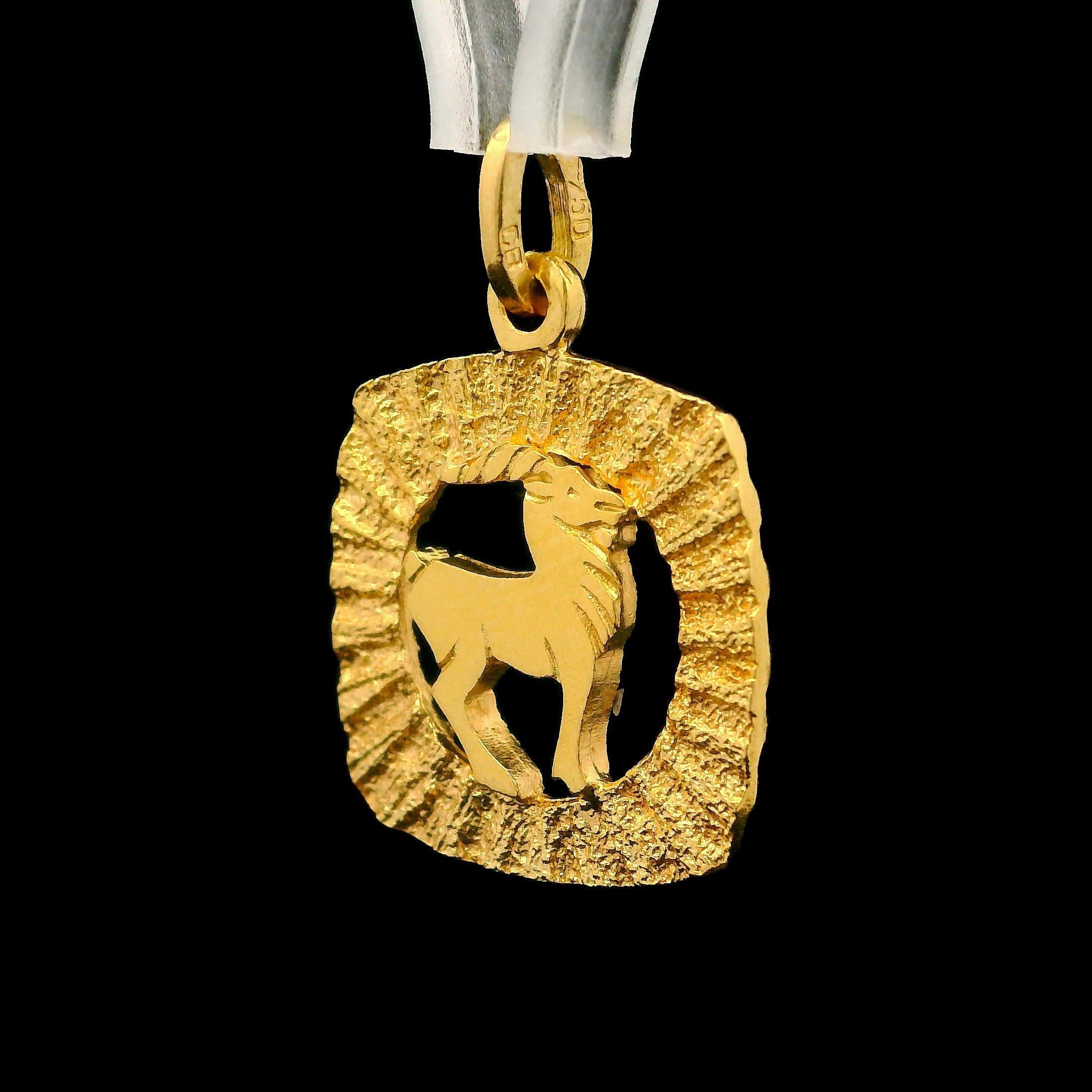 Unisex 18k Gelbgold Capricorn Zodiac strukturierte Rahmen Medaillon Charme Anhänger im Angebot 4