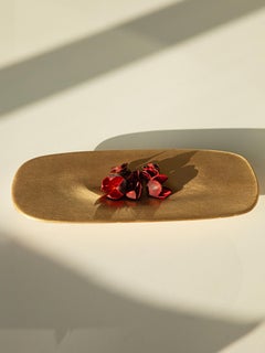 Tray – Small Brushed Brass Sandcasted Designer Home Accessory by Unism