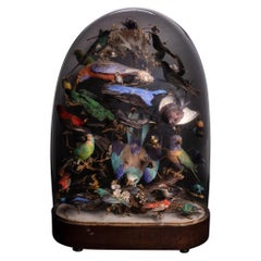 United Kingdom, 1880, Victorian Glass Dome with 36 Exotic Birds