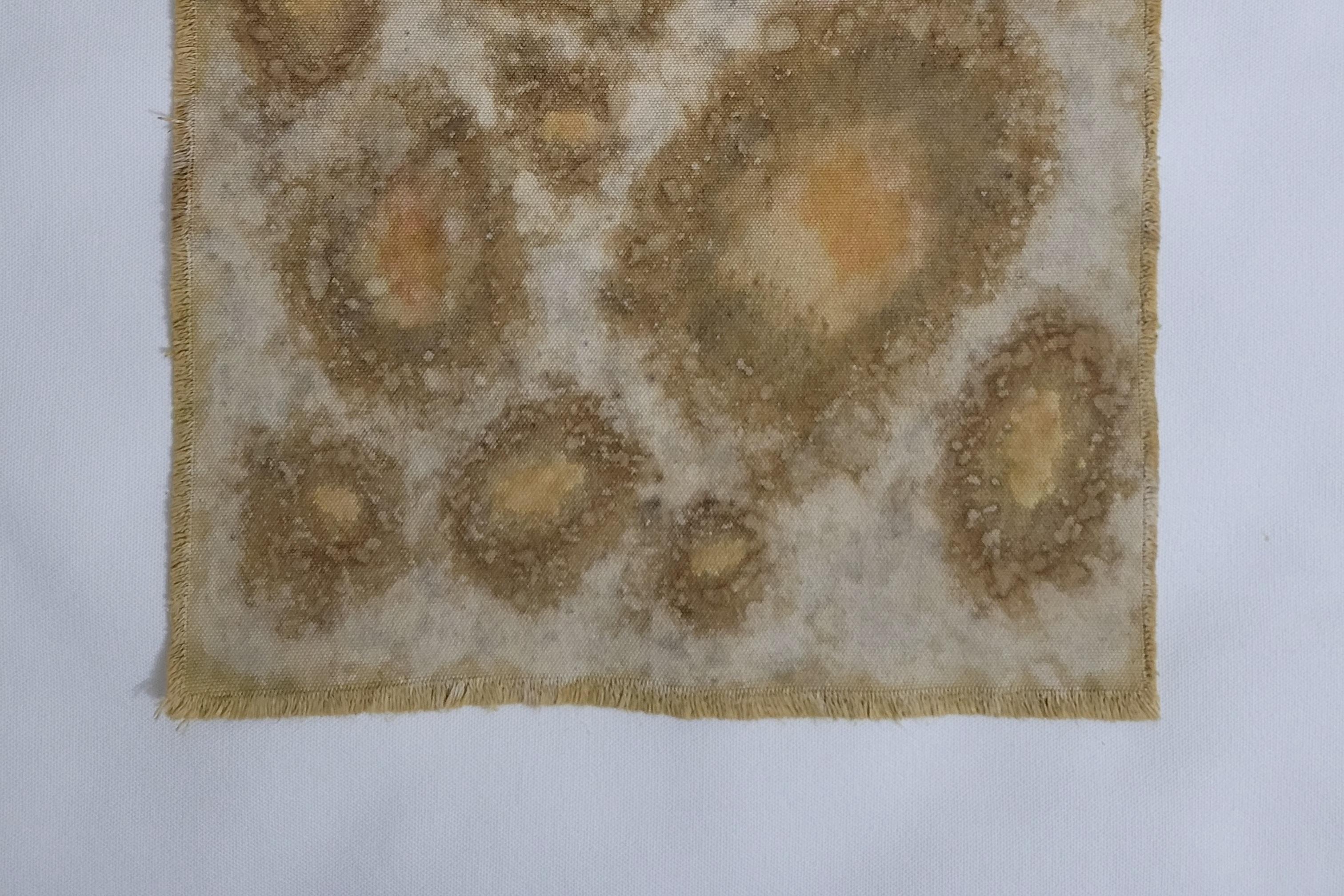 Turkish UNIVERSES (1) – Plant-Dyed Botanical Art on Cotton Canvas For Sale