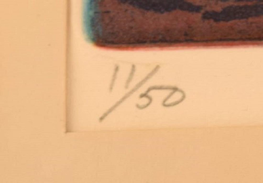 Unbekannter Künstler, Farblithografie, Abstrakte Landschaft, 1960er Jahre (Papier) im Angebot