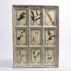 Colección Botánica Italiana Antigua en un Marco de Ventana
