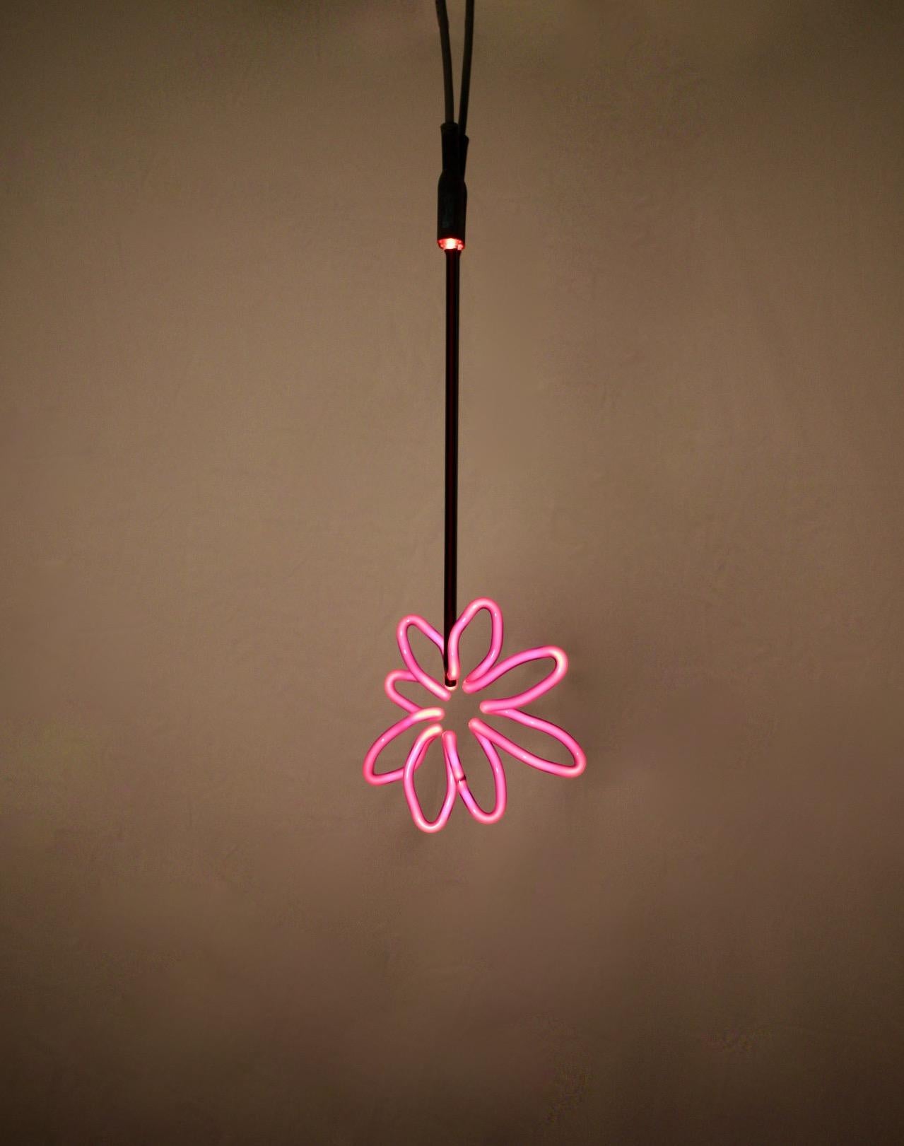 Caroline LaCava  - Tournesol rose et noir 3 - Contemporain Mixed Media Art par Unknown