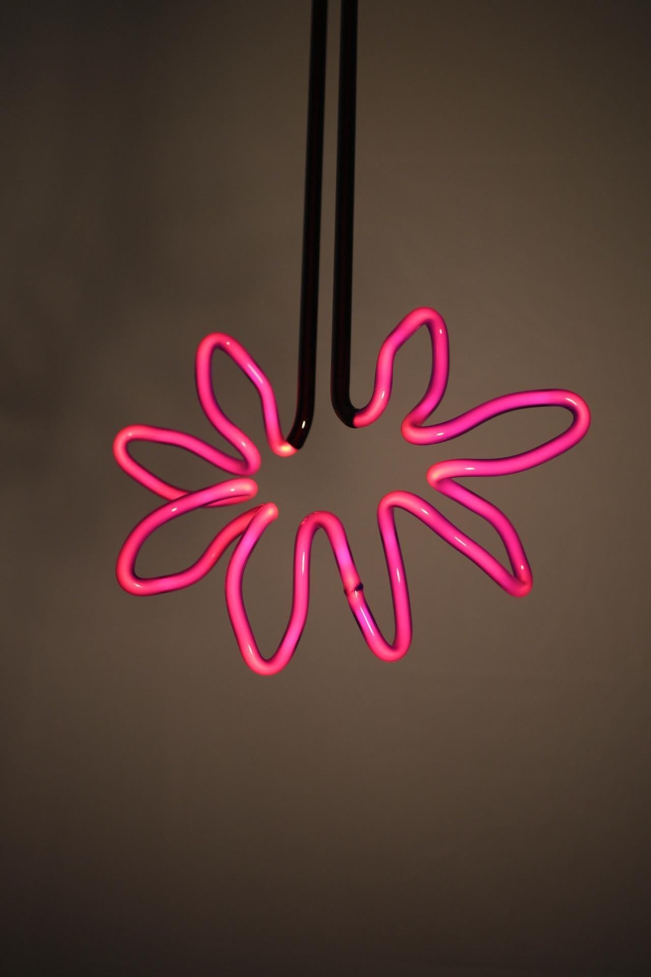 Caroline LaCava  - Tournesol rose et noir 3 en vente 2