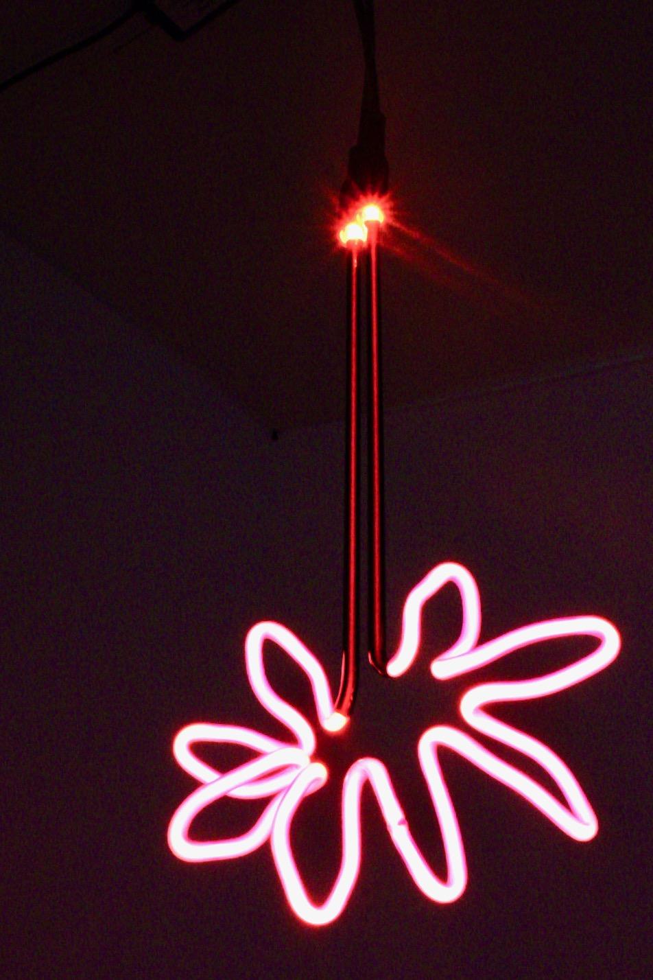 Caroline LaCava  - Tournesol rose et noir 3 en vente 3