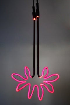 Caroline LaCava  - Pink and Black Sunflower 3