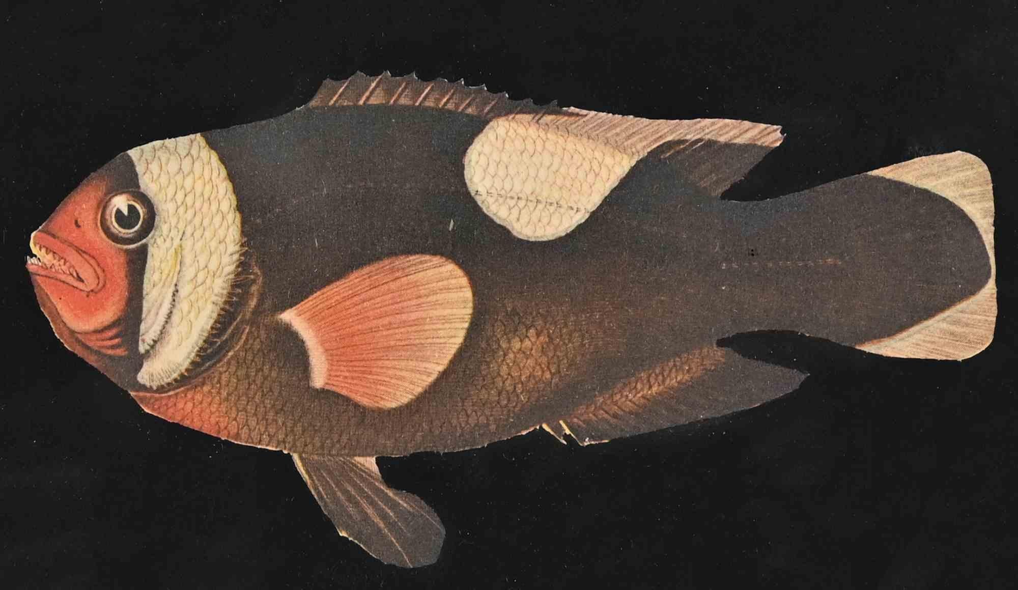 Fisch – Mixed Media – frühes 20. Jahrhundert (Moderne), Mixed Media Art, von Unknown