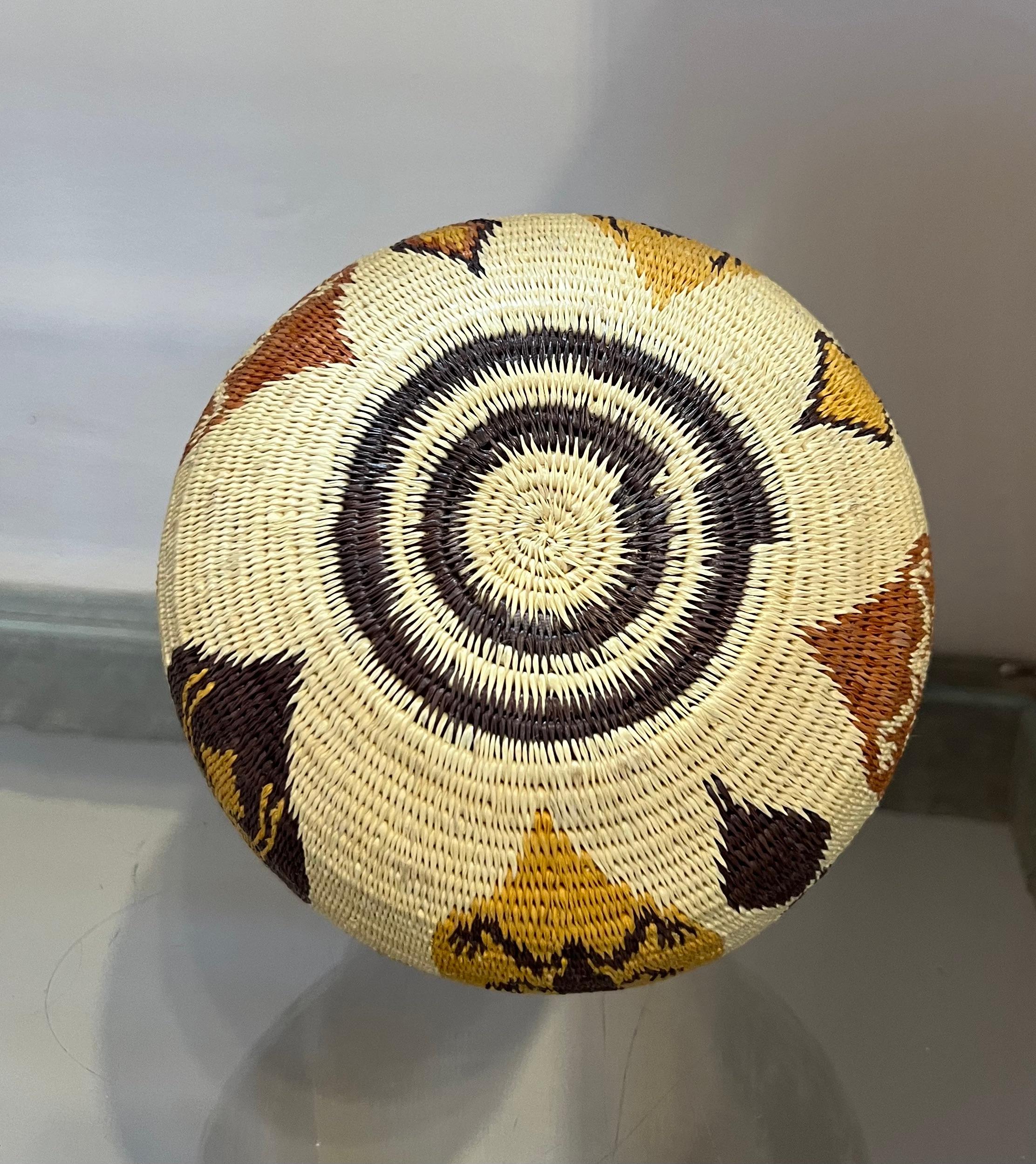 Frog and Spider Basket, Panama Rain Forest, Wounaan Tribe, handwoven, white, red For Sale 2