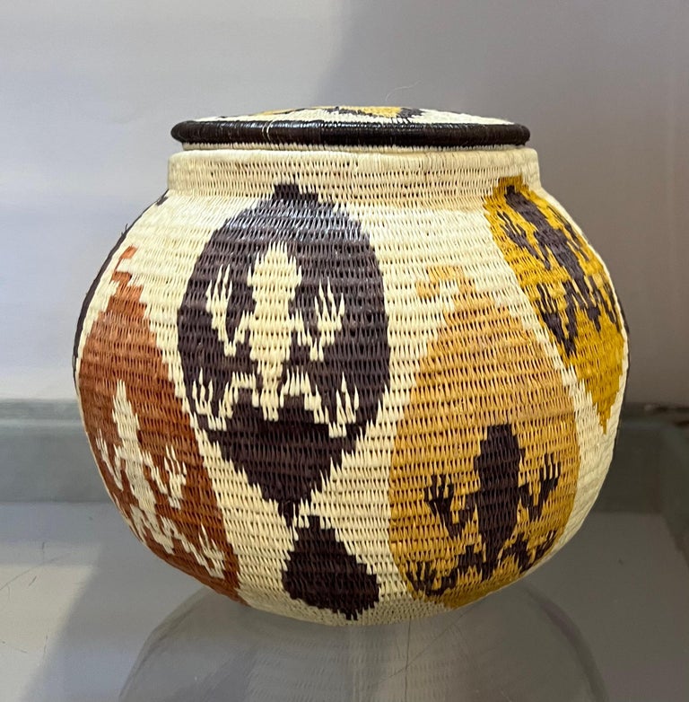 Unknown Frog and Spider Basket, Panama Rain Forest, Wounaan Tribe