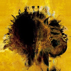 Girasol amarillo von Javier Rivas