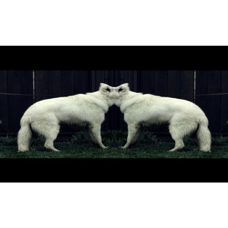 Grayout, Animation, 2013 - Mixed Media Art by Unknown