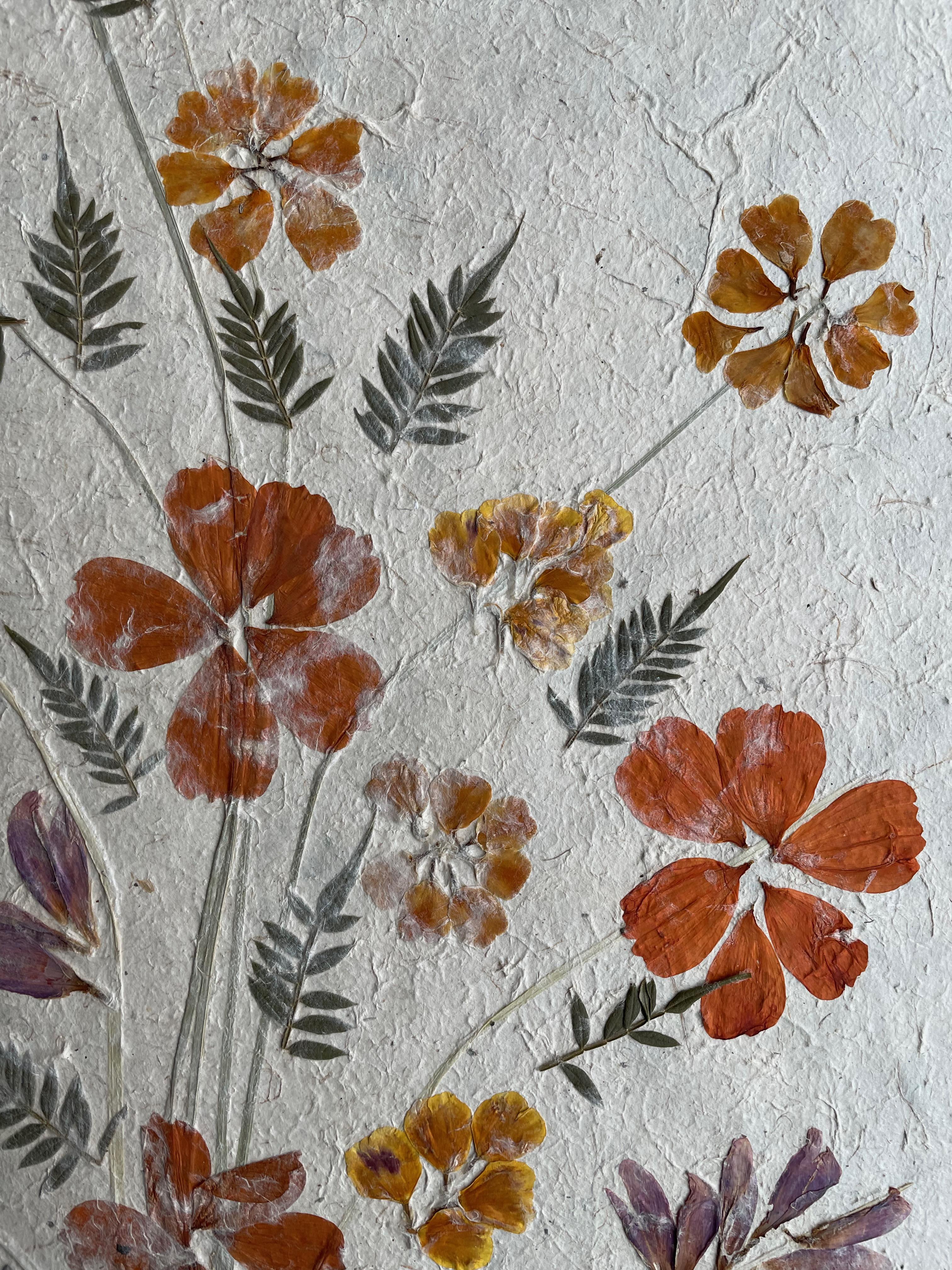 Fleurs séchées Madagascannes sur papier fait main - Outsider Art Art par Unknown