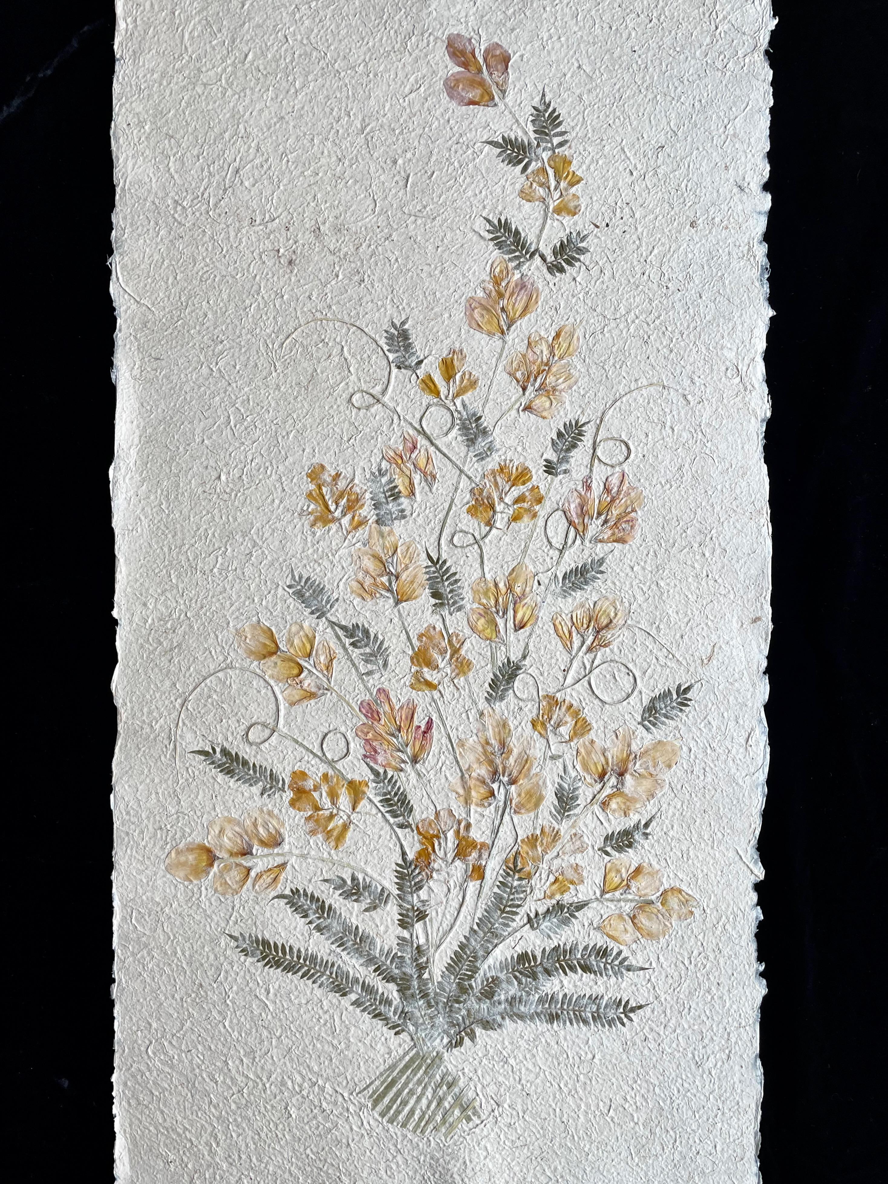 Madagascan Dried Flowers On Hand Made Paper - Mixed Media Art by Unknown