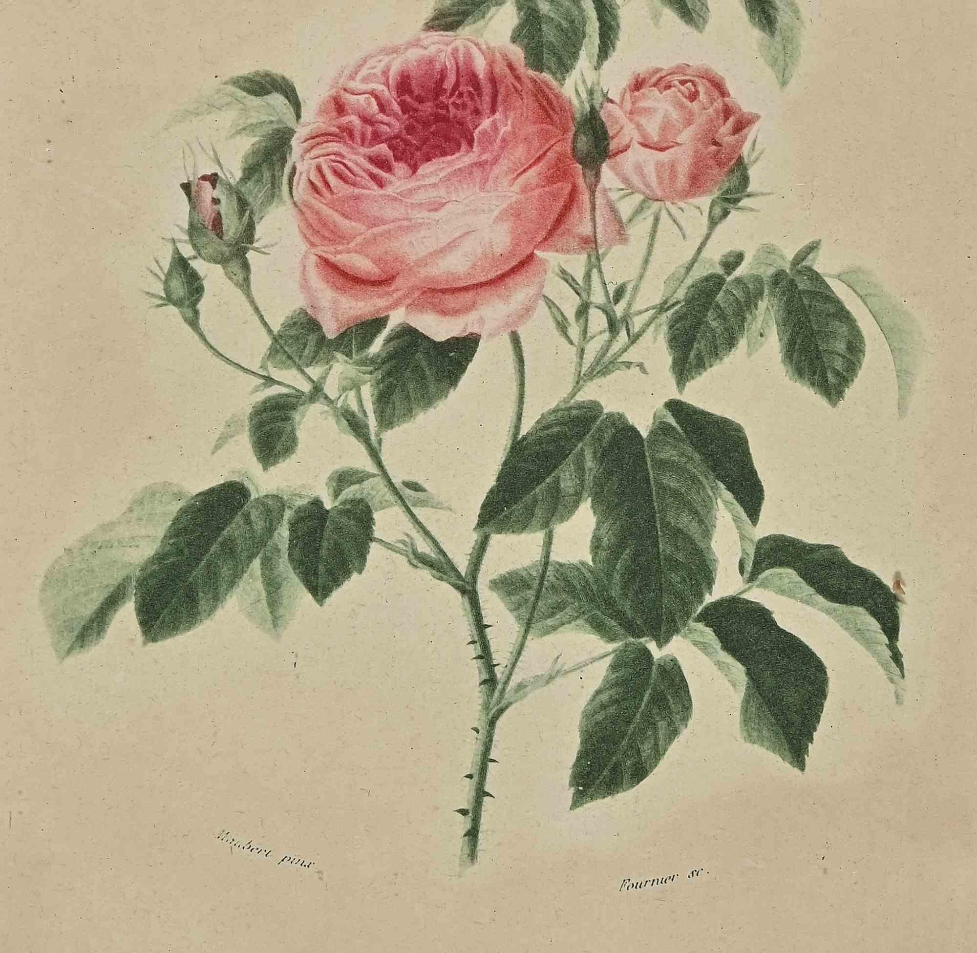 Roses ist ein originelles modernes Kunstwerk, das von einem Künstler des 19. Jahrhunderts geschaffen wurde.

Gemischtfarbige Radierung.

Gedruckter Name am unteren Rand: 