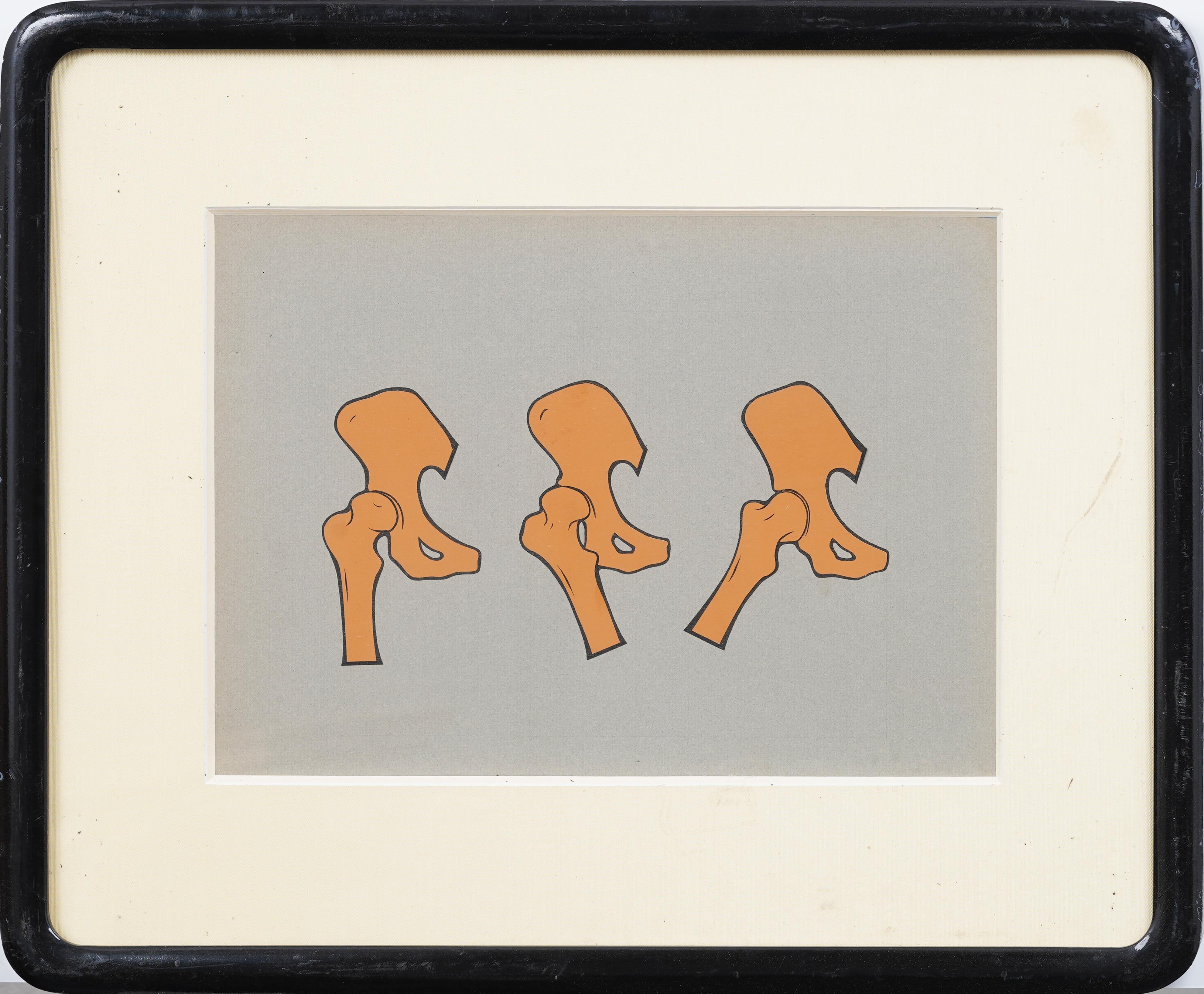 Vintage American Mixed Media Osteological Joint Diagram