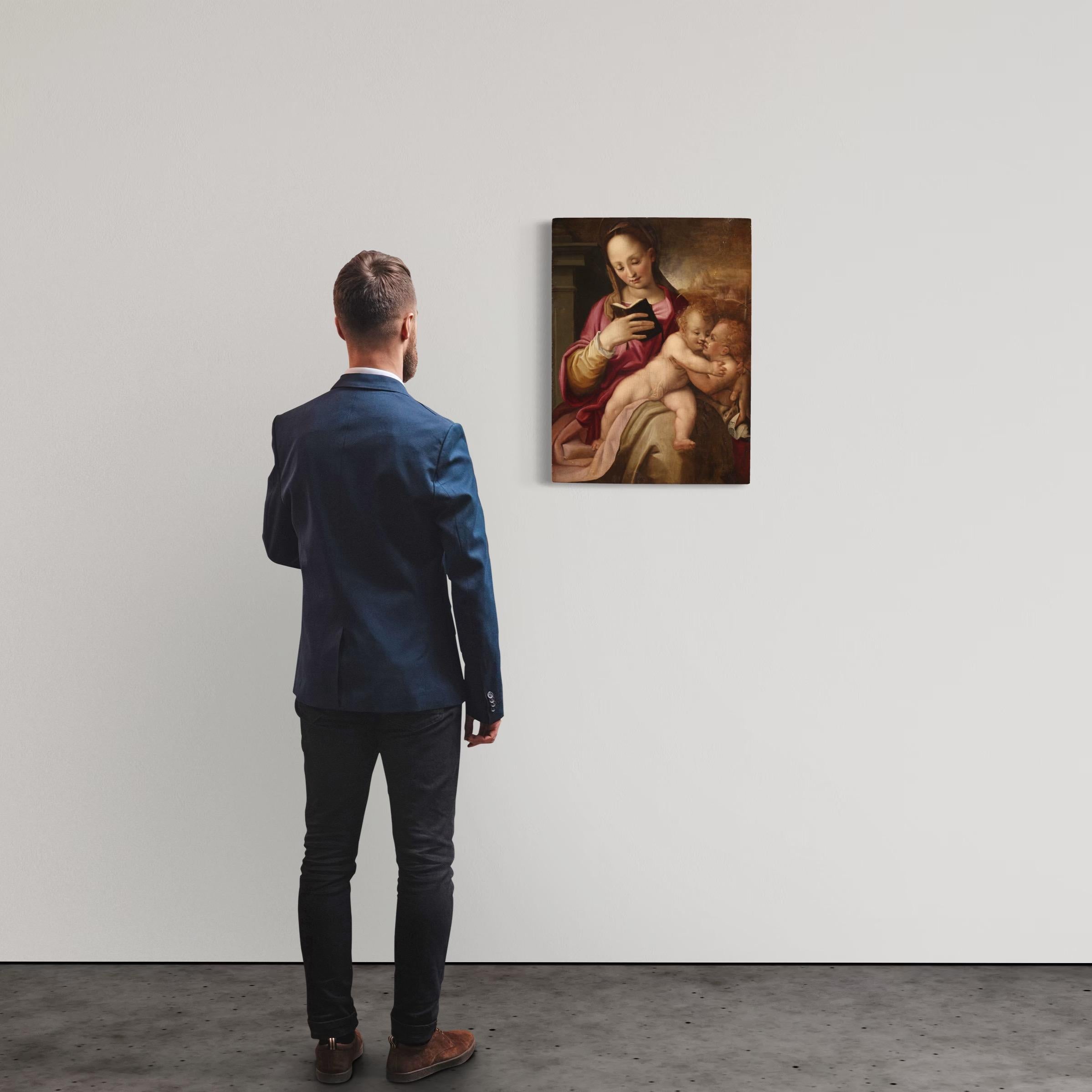 16. Jahrhundert Öl auf Tafel Italienische Malerei Madonna und Kind mit Johannes (Brown), Figurative Painting, von Unknown