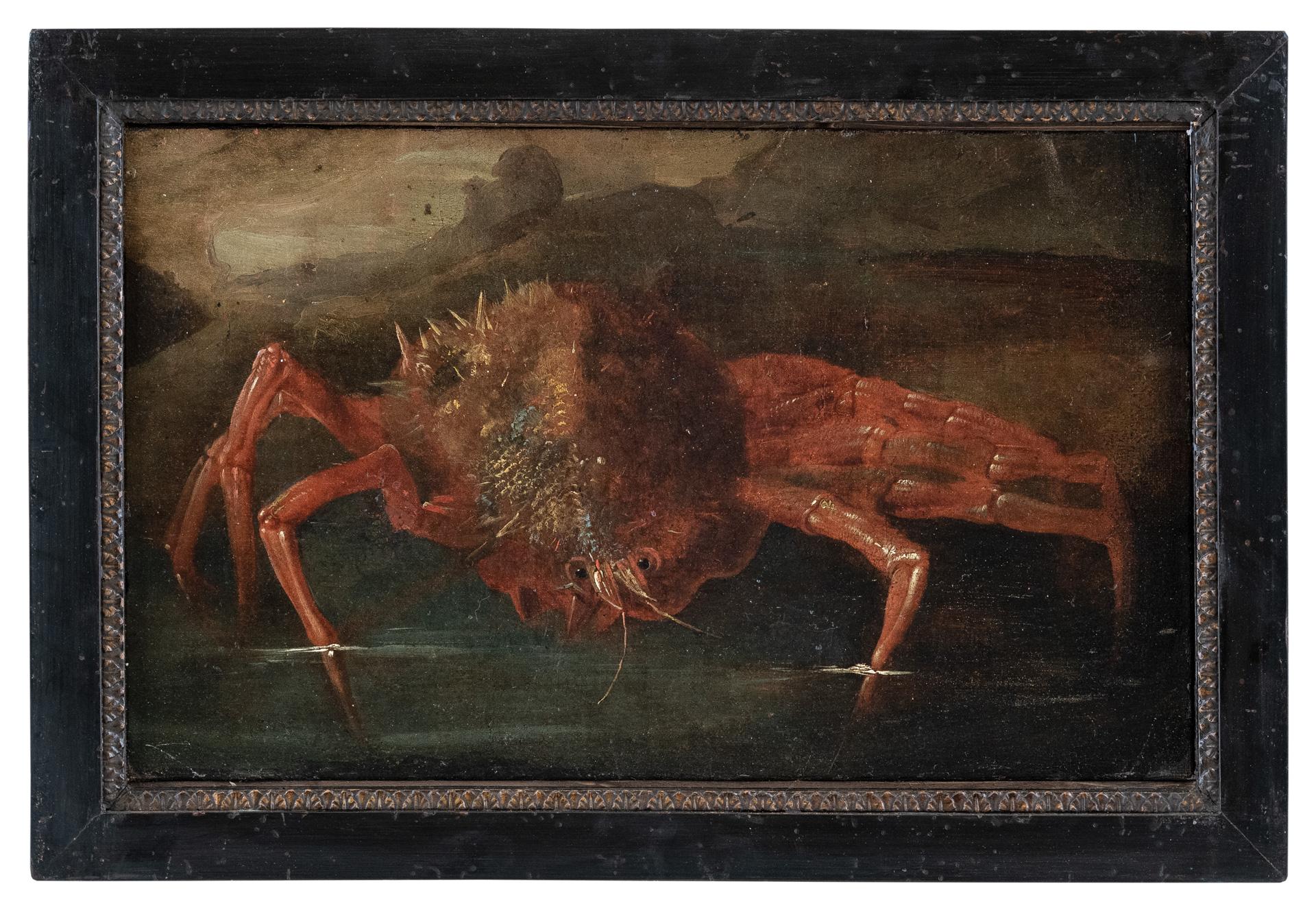 17-18th century Italian animal painting - Crab Still Life - Oil on canvas figure