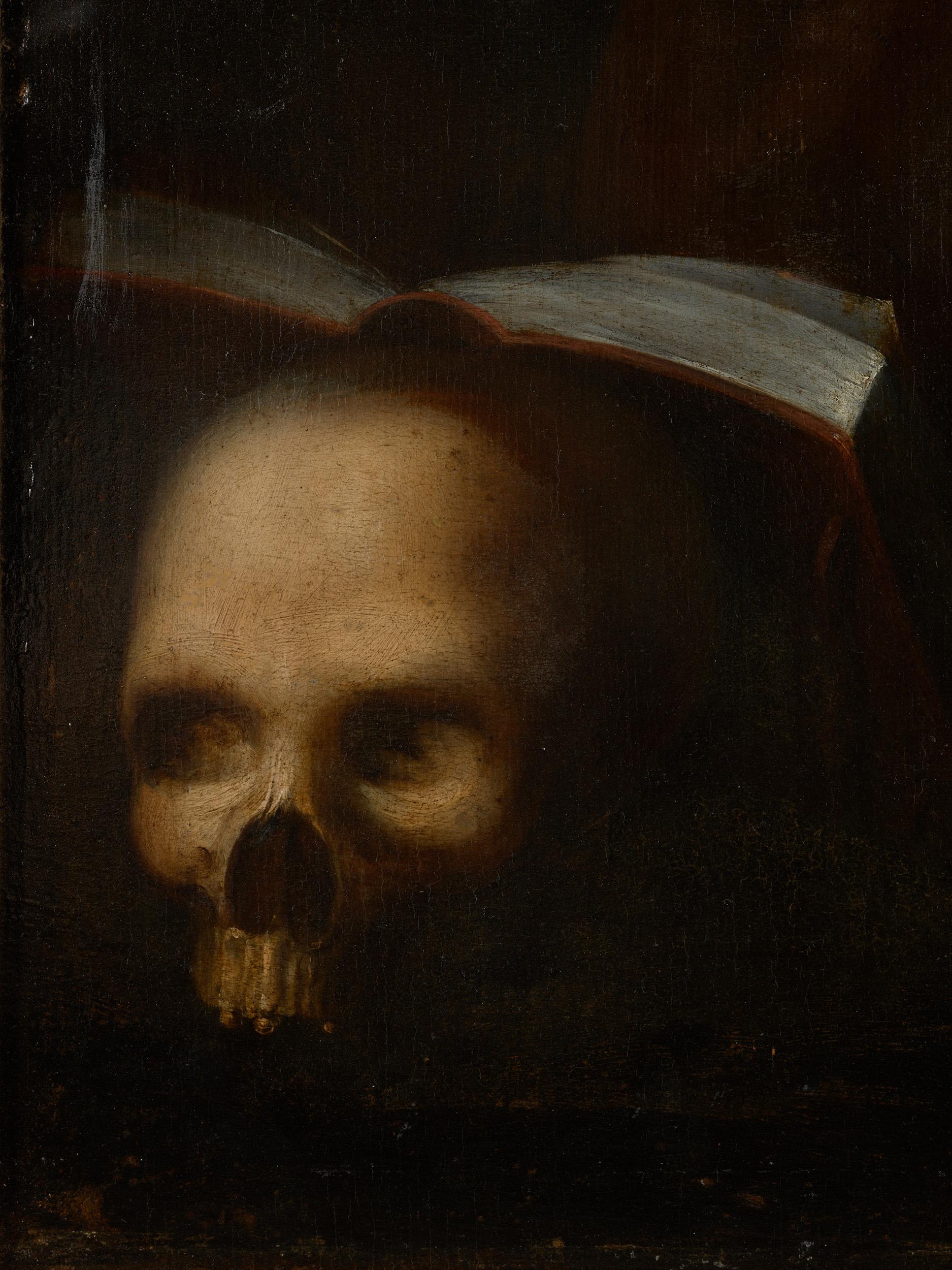 saint francis skull