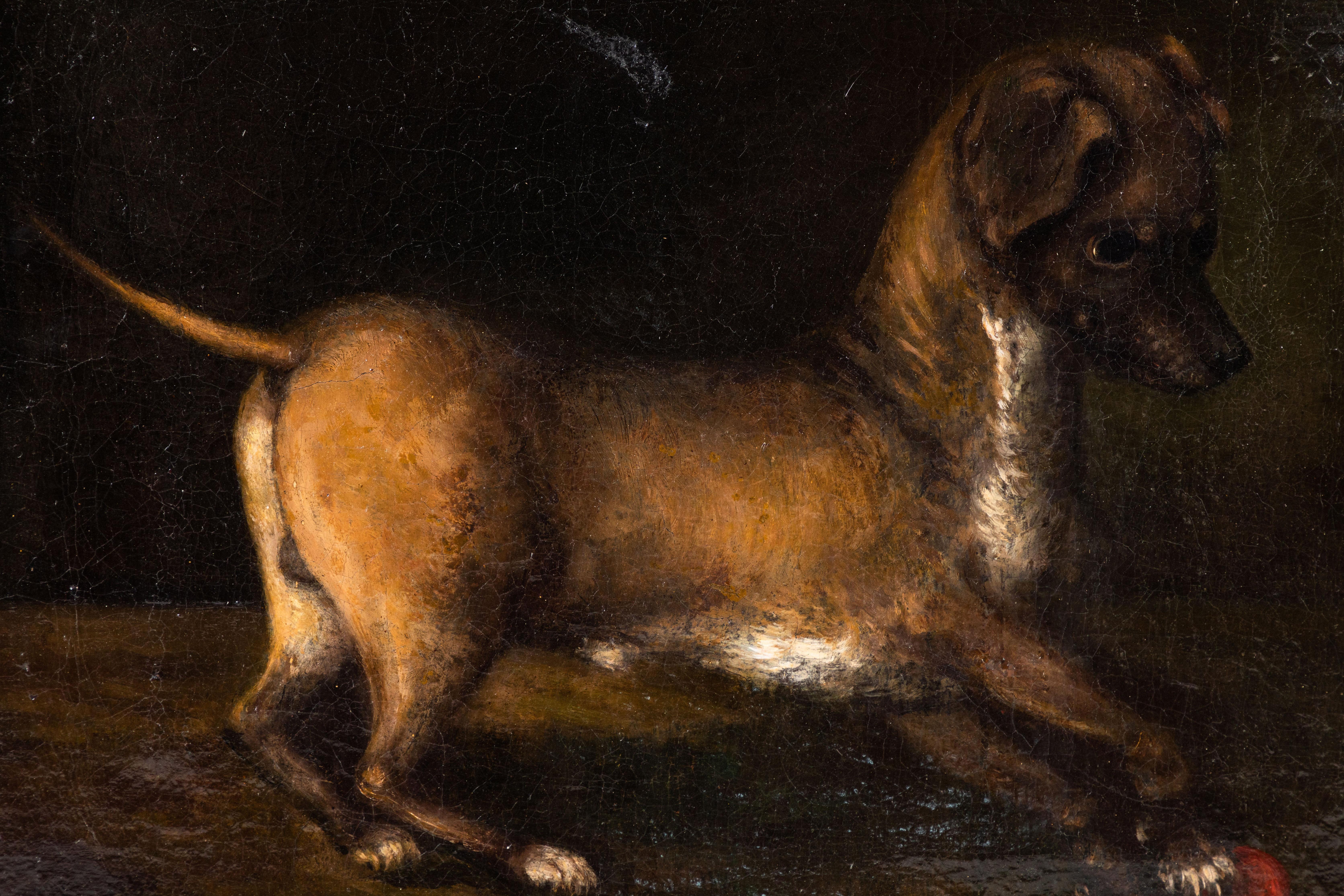 17th Century Oil Painting of a Dog at Play For Sale 1