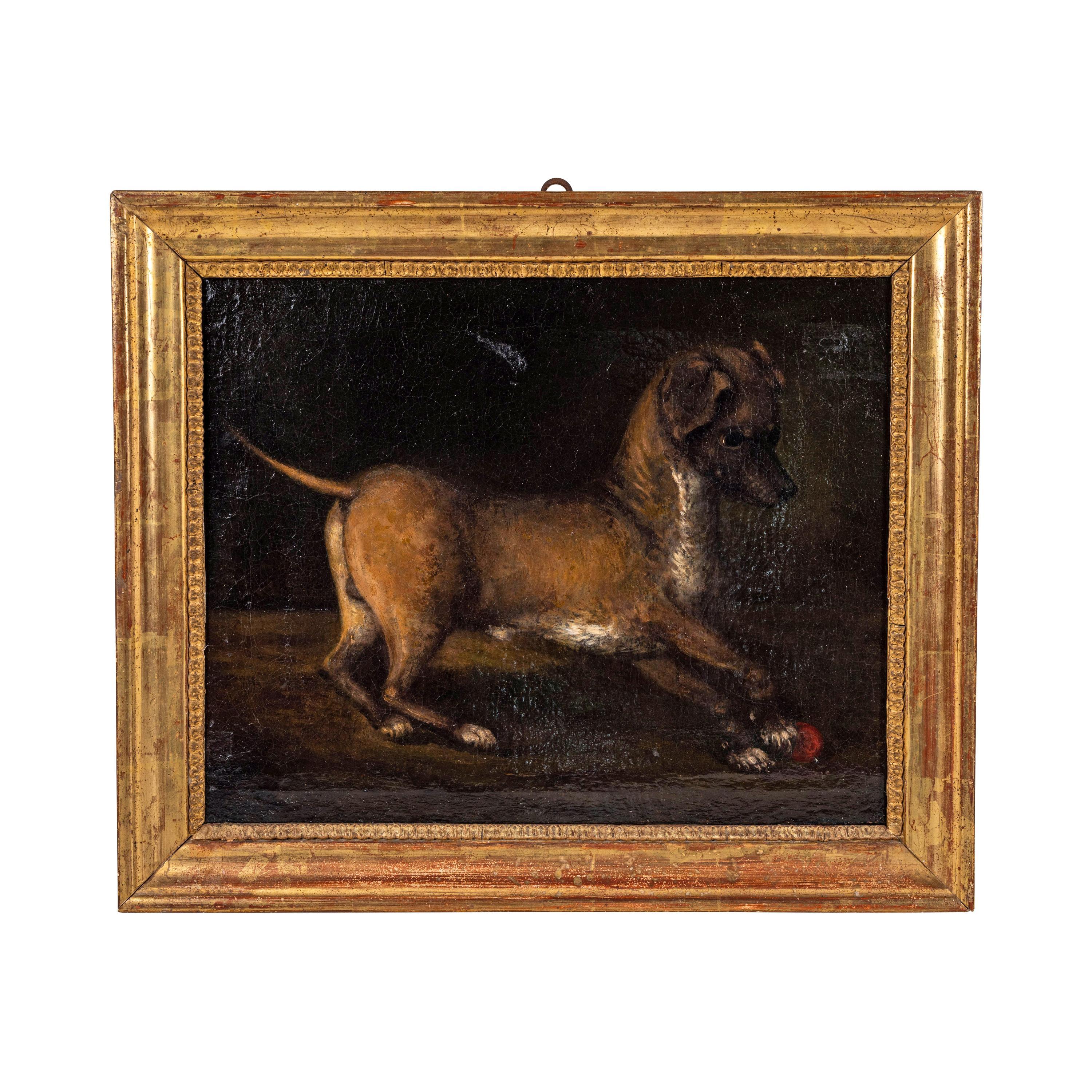 Absolutely charming, original, circa 1650, Italian, oil on canvas painting of a puppy at play with a crimson ball. 

Canvas size: 14.75 in. high x 18.25 in. wide.