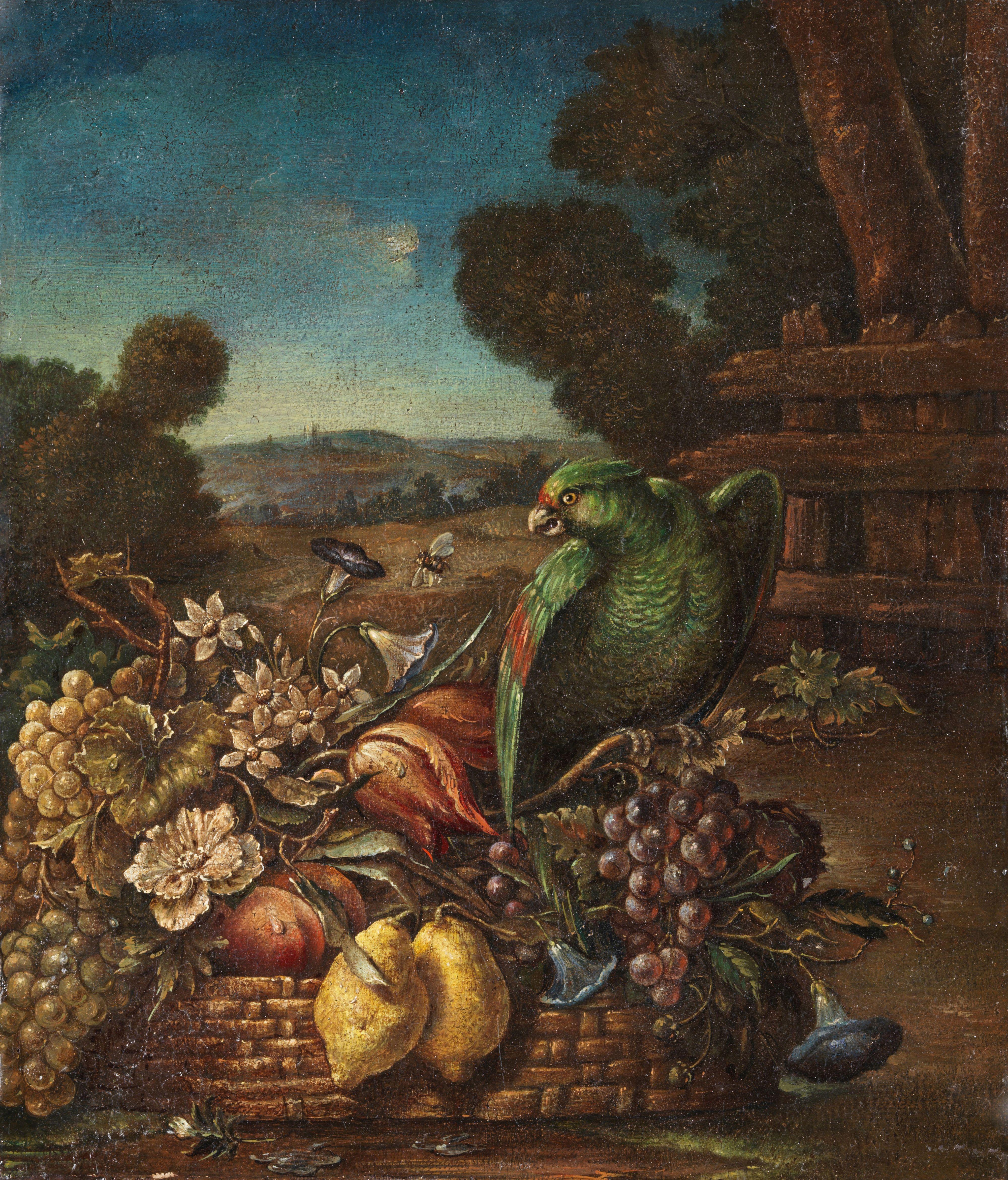 Pair of oil paintings on canvas measuring 45 x 35 without frame and 50 x 40 cm with frame depicting two still lifes of flowers, fruit and parrots from the early 18th century Roman school. 

The couple may relate to a pictorial school that approaches