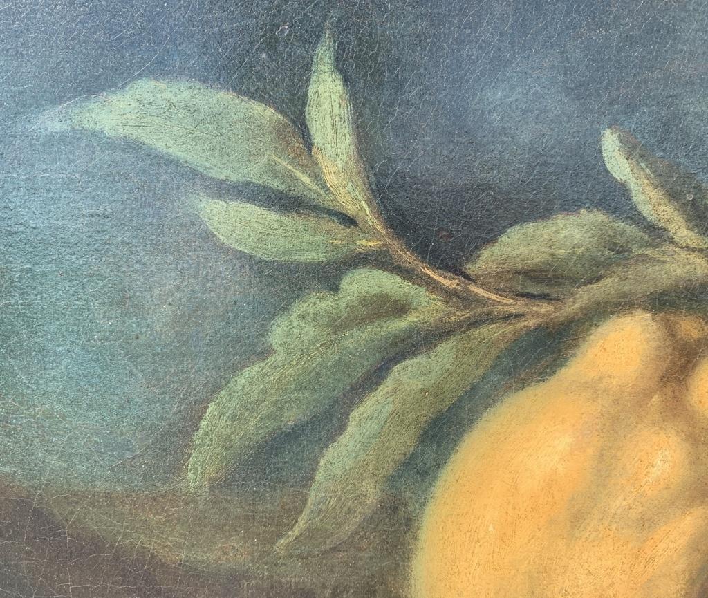 18th century Italian Still Life painting - Lemons  - Oil on canvas Italy 2