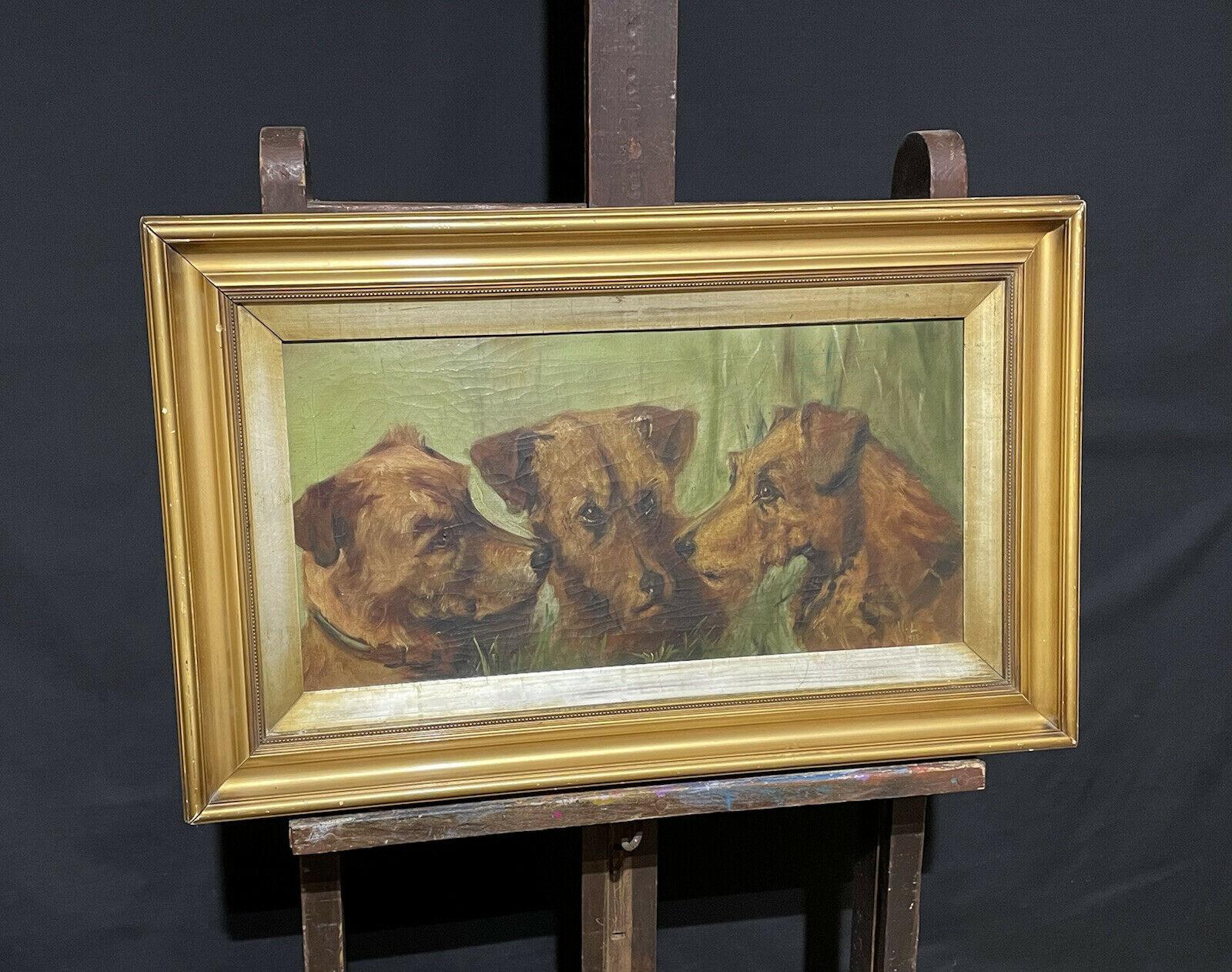 1900er ENGLISH DOG PAINTING - THREE TERRIERS HEAD PORTRAITS - ALERT CHARACTERS – Painting von Unknown