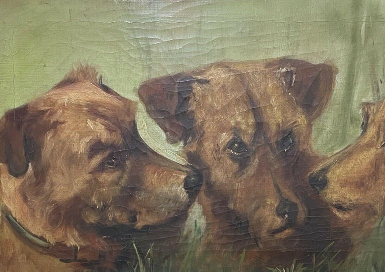 1900's ENGLISH DOG PAINTING - THREE TERRIERS HEAD PORTRAITS - ALERT CHARACTERS - Impressionist Painting by Unknown