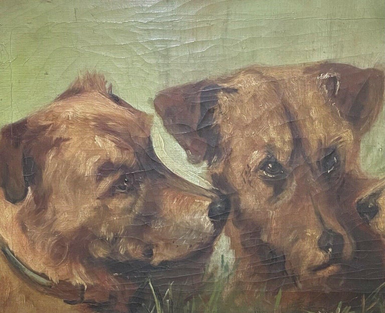 1900's ENGLISH DOG PAINTING - THREE TERRIERS HEAD PORTRAITS - ALERT CHARACTERS - Brown Animal Painting by Unknown