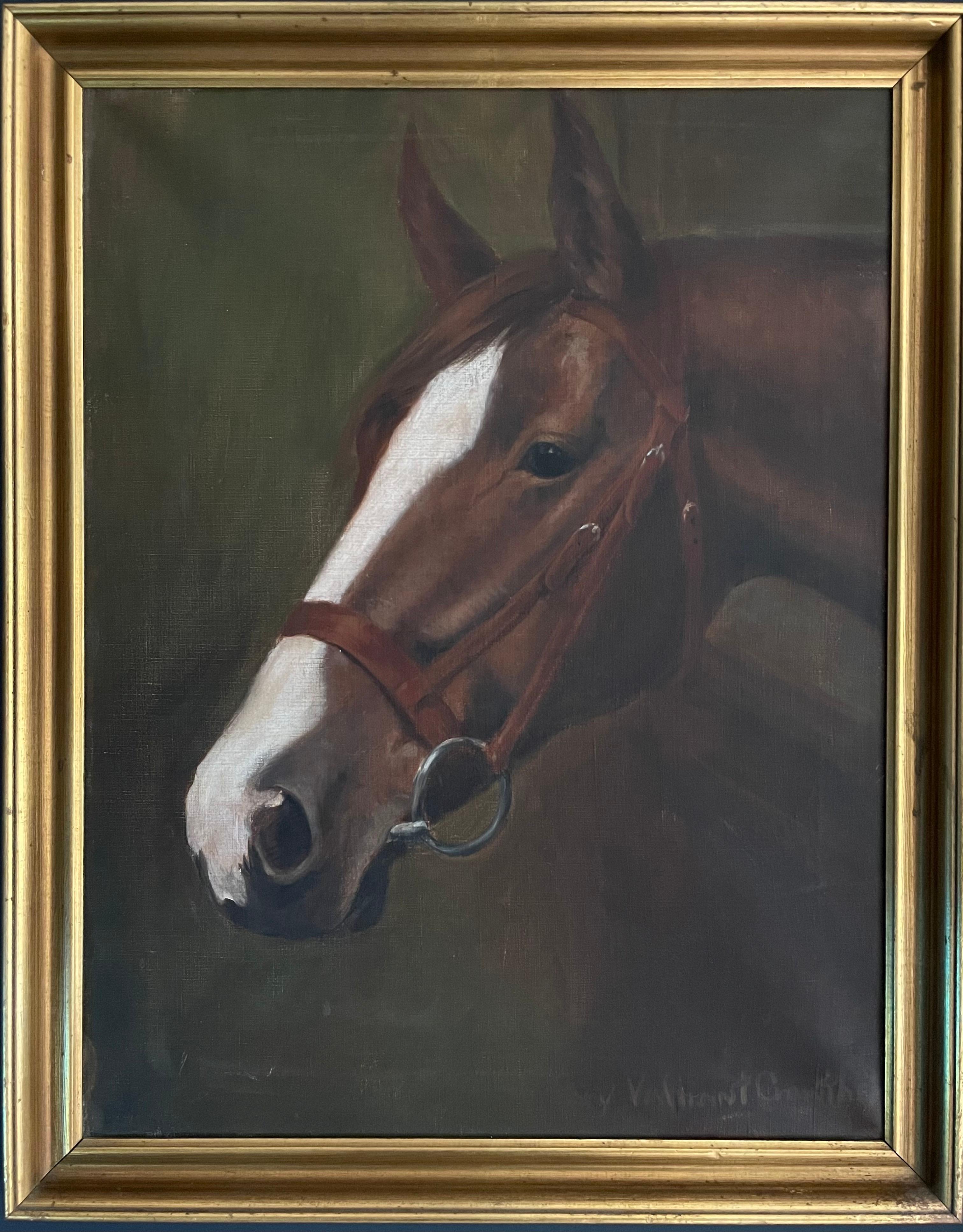 Unknown Animal Painting - 1930's English Oil Painting Head Portrait of a Chestnut Horse in Leather Bridle