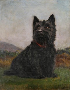 1938 Öl - Temperamentvoller Scottish Terrier