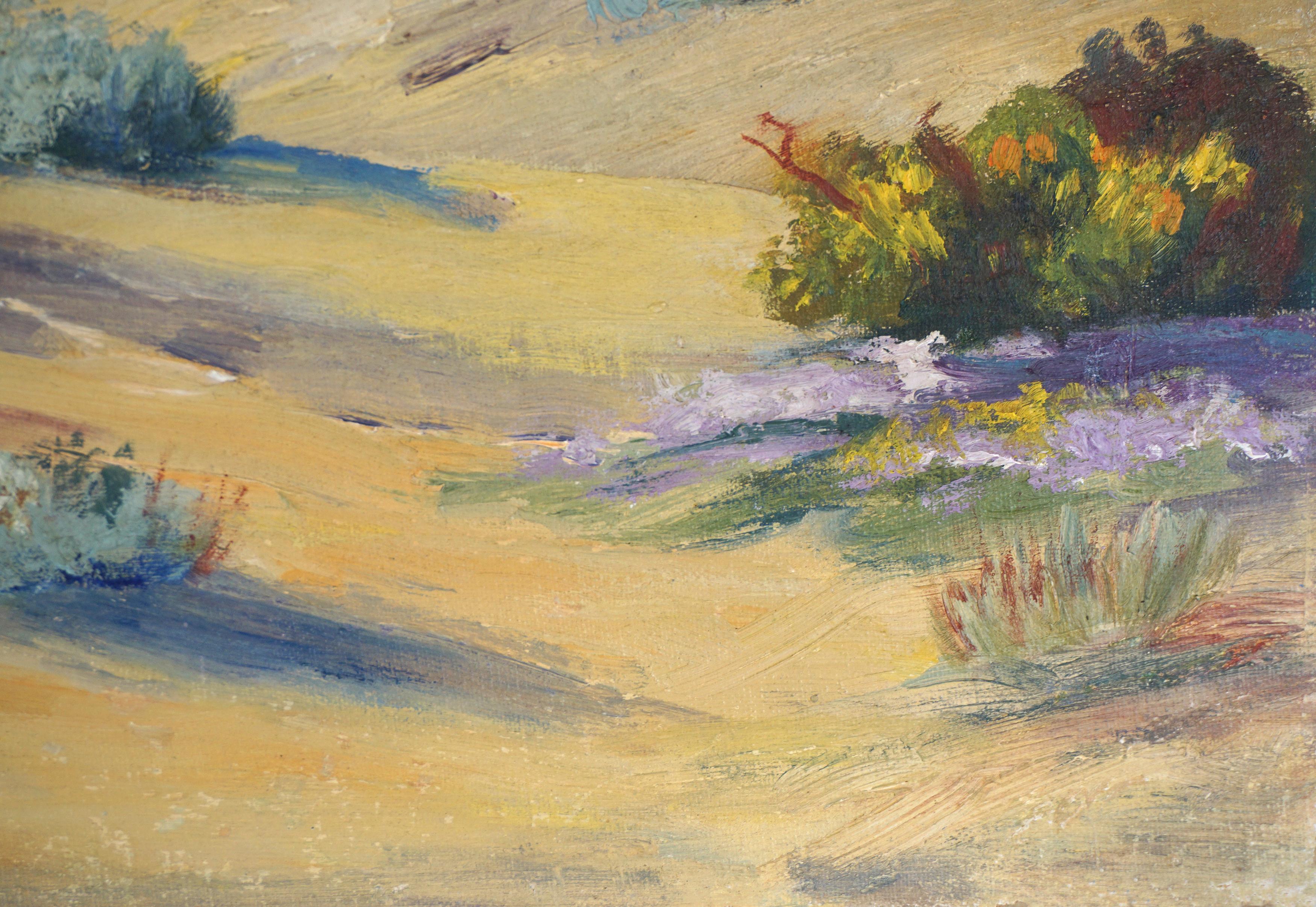 Paisaje vibrante del desierto primaveral de Palm Springs de 1940 1