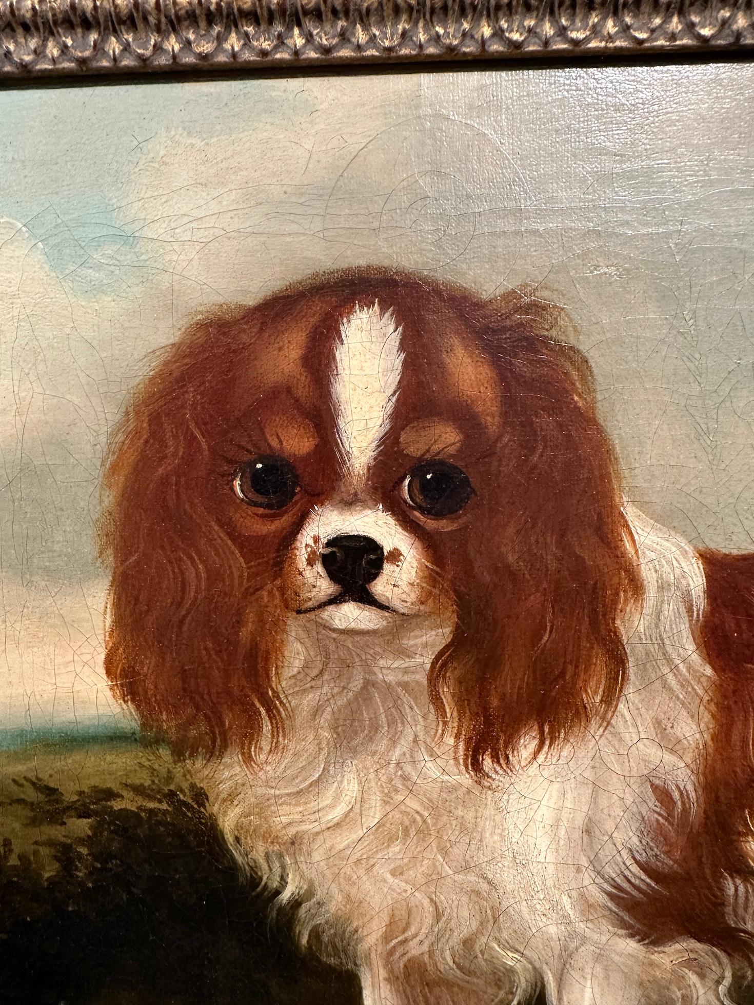 19th century English folk art portrait of a King Charles Cavalier Spaniel dog - Painting by Unknown