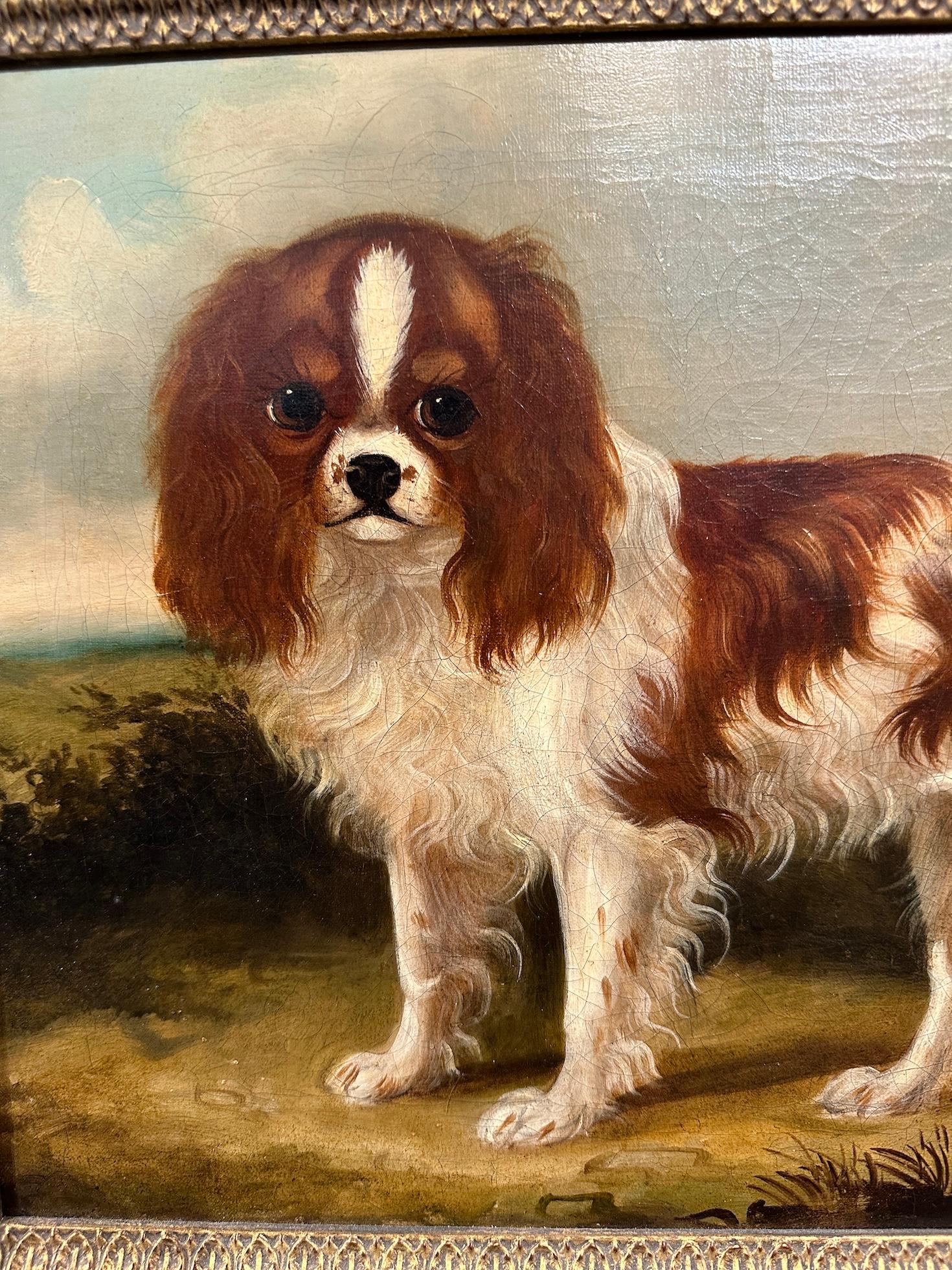 19th century English folk art portrait of a King Charles Cavalier Spaniel dog - Brown Animal Painting by Unknown