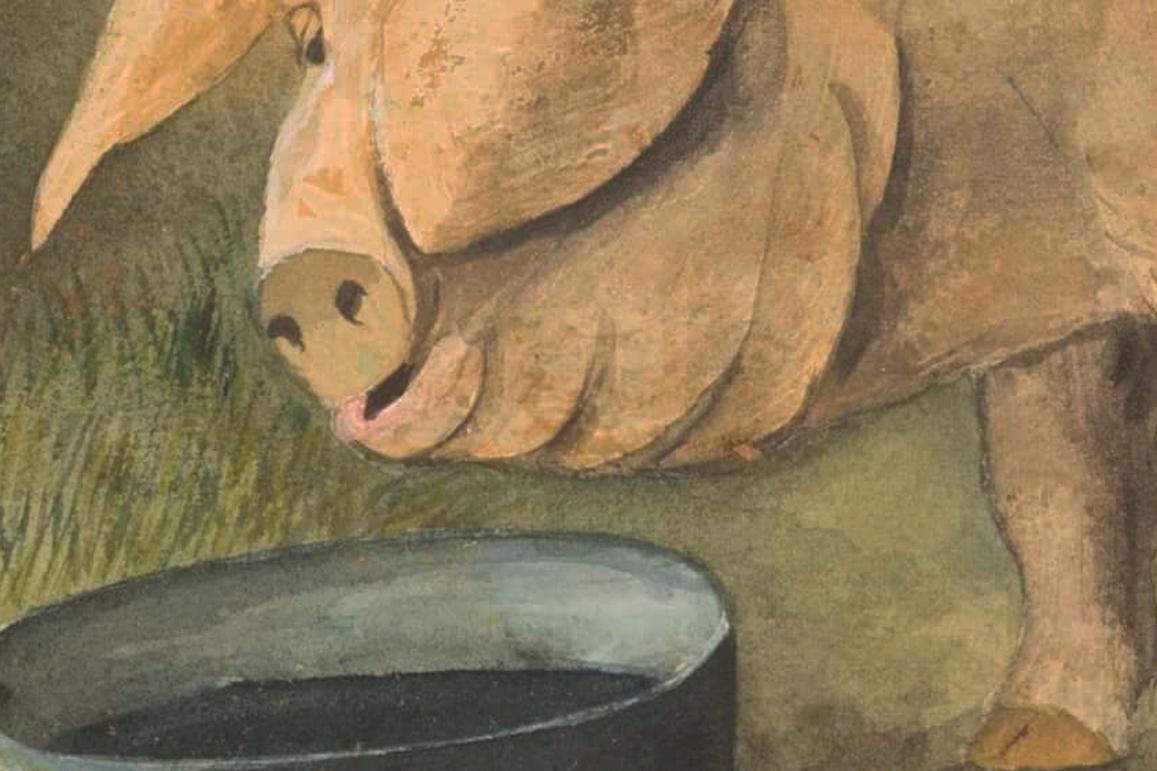 19th Century English naive oil painting of a pig - Painting by Unknown