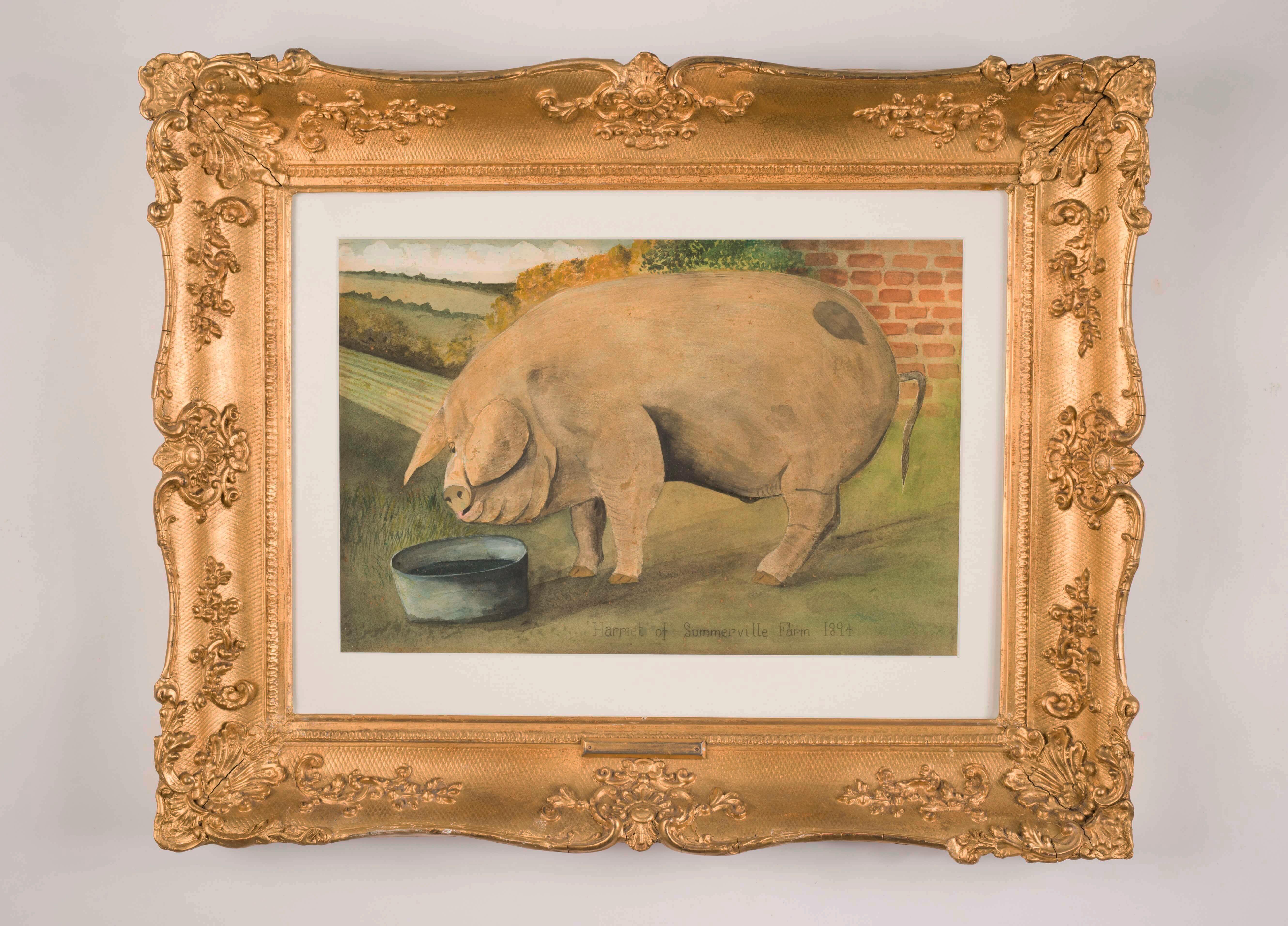 19th century pig paintings