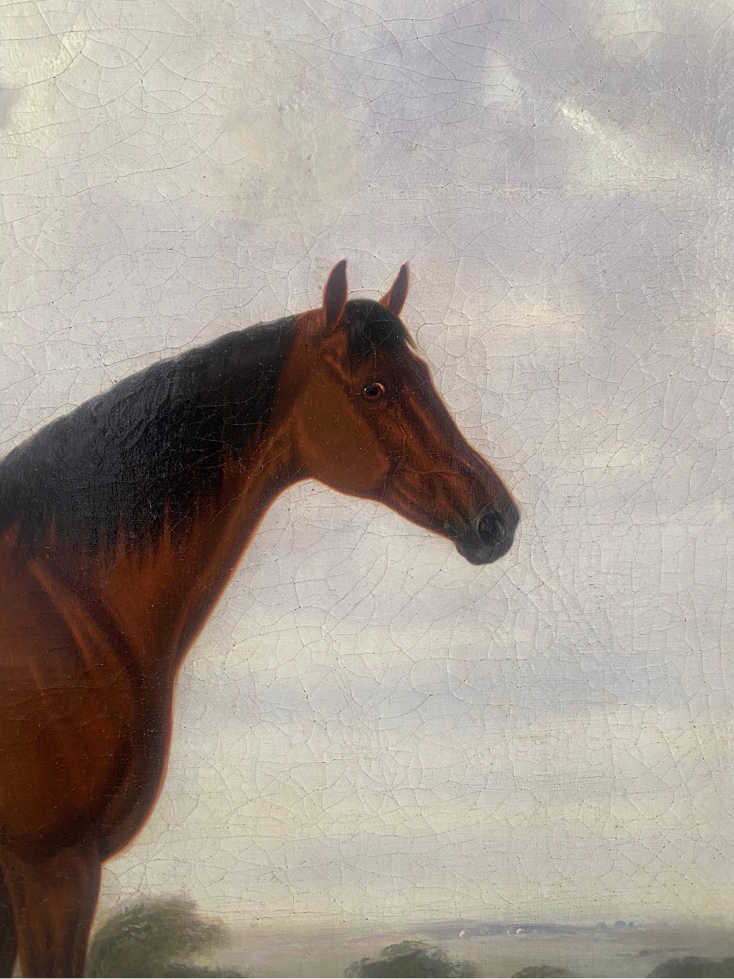 Englische Schule des 19. Jahrhunderts, Bay Horse und ein Terrier in einer Landschaft (Beige), Animal Painting, von Unknown