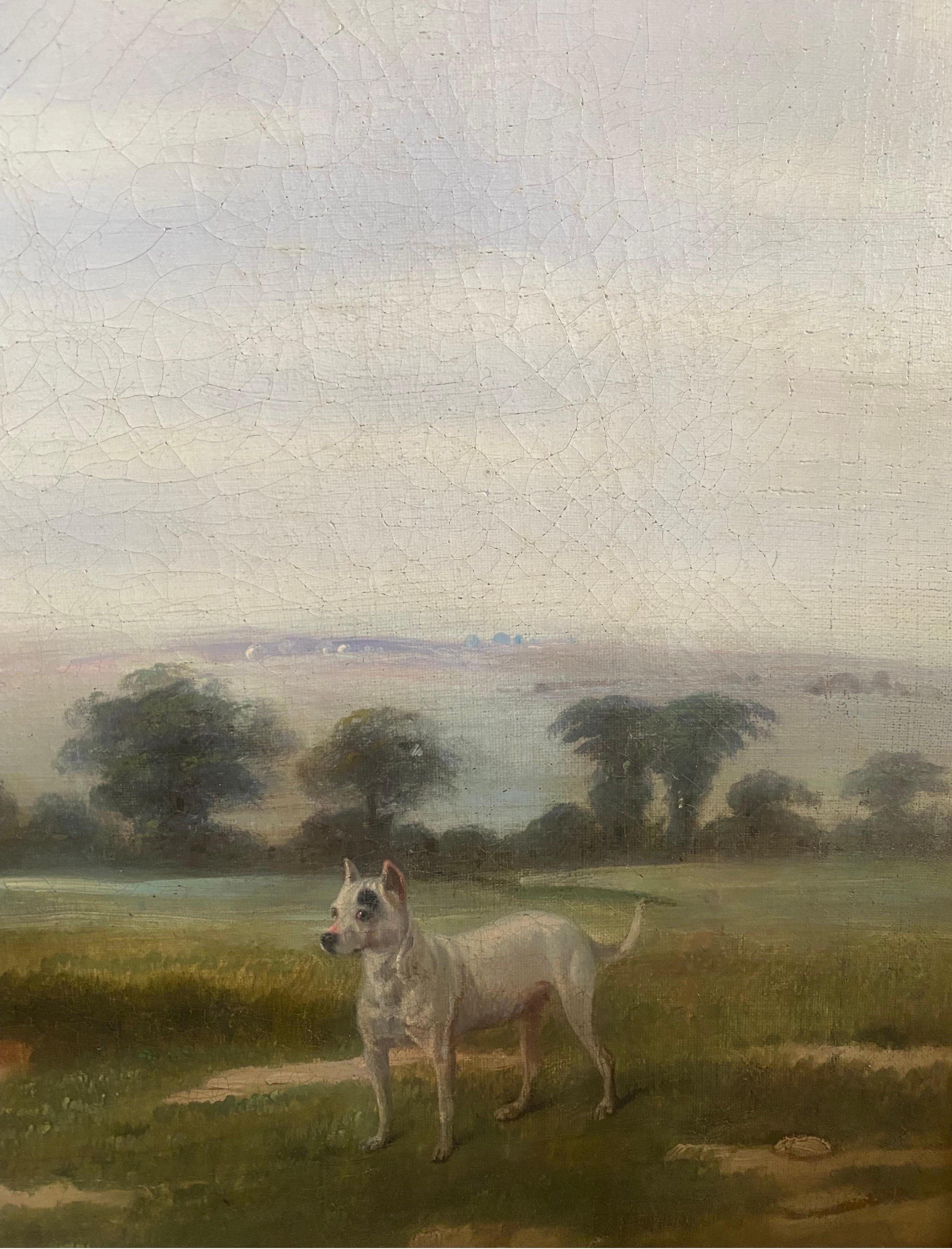 Ein brauner Jäger und ein schwarz-weißer, kurzhaariger Hund (möglicherweise ein Bullterrier) in einer weitläufigen englischen Landschaft, in der Nähe eine rustikale Scheune. Undeutlich signiert 'Br...' und datiert 1819 (links unten)

 Provenienz: