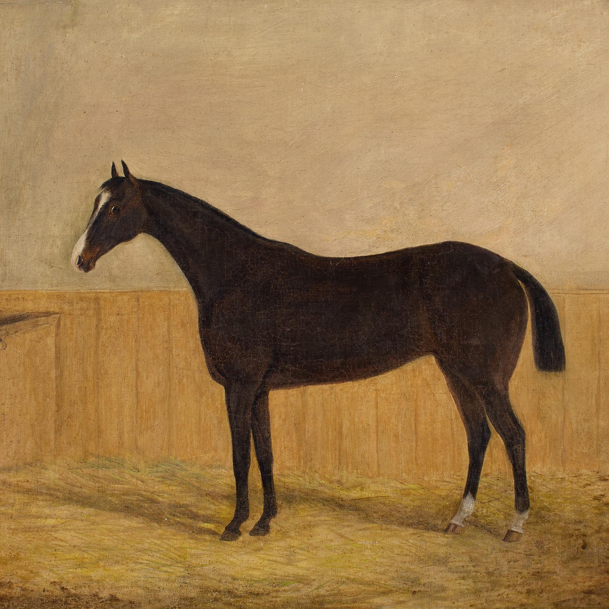 19th-Century English School, Portrait Of A Bay Mare In A Stable 4