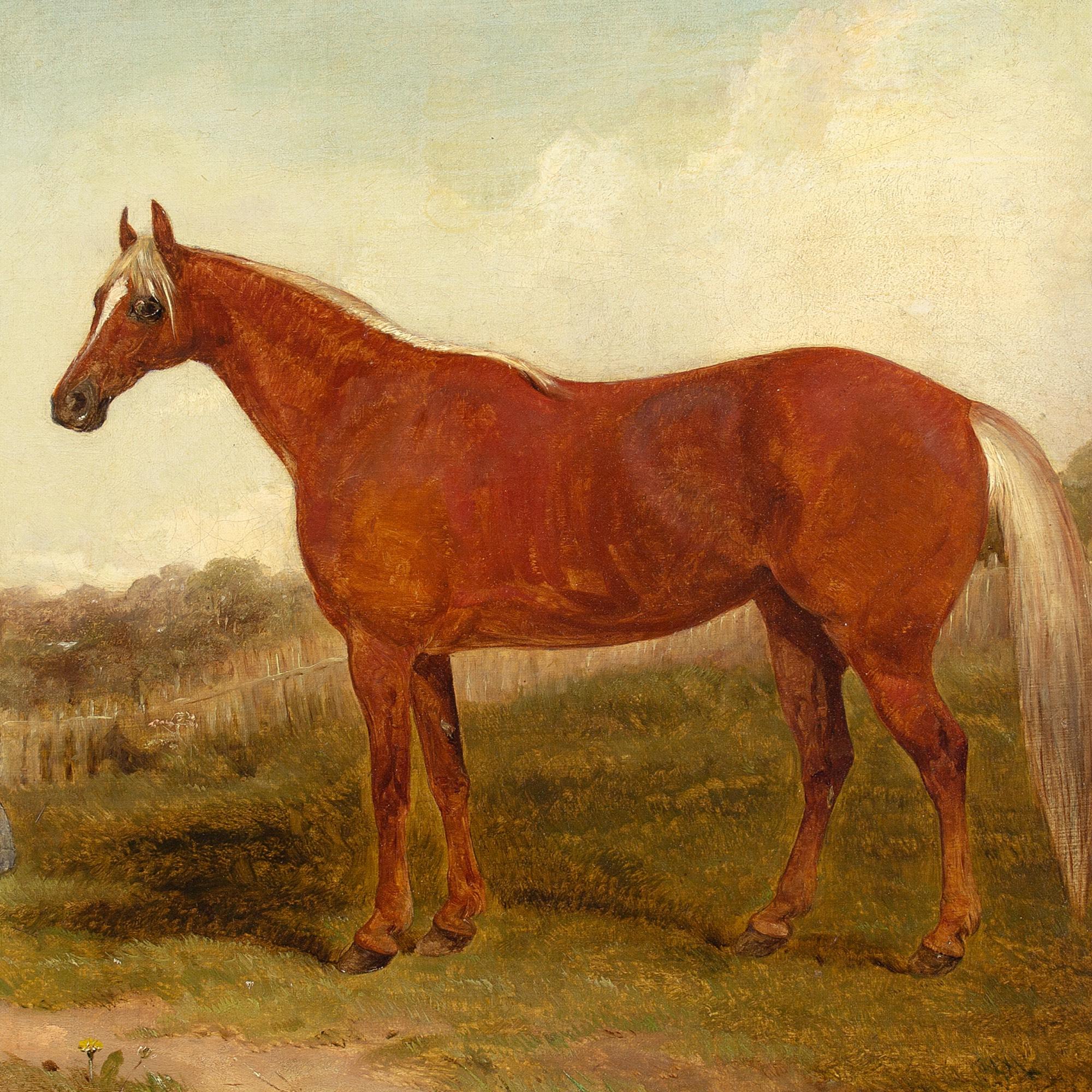 19th-Century English School, Portrait Of A Chestnut Horse & Girl, Oil Painting  5