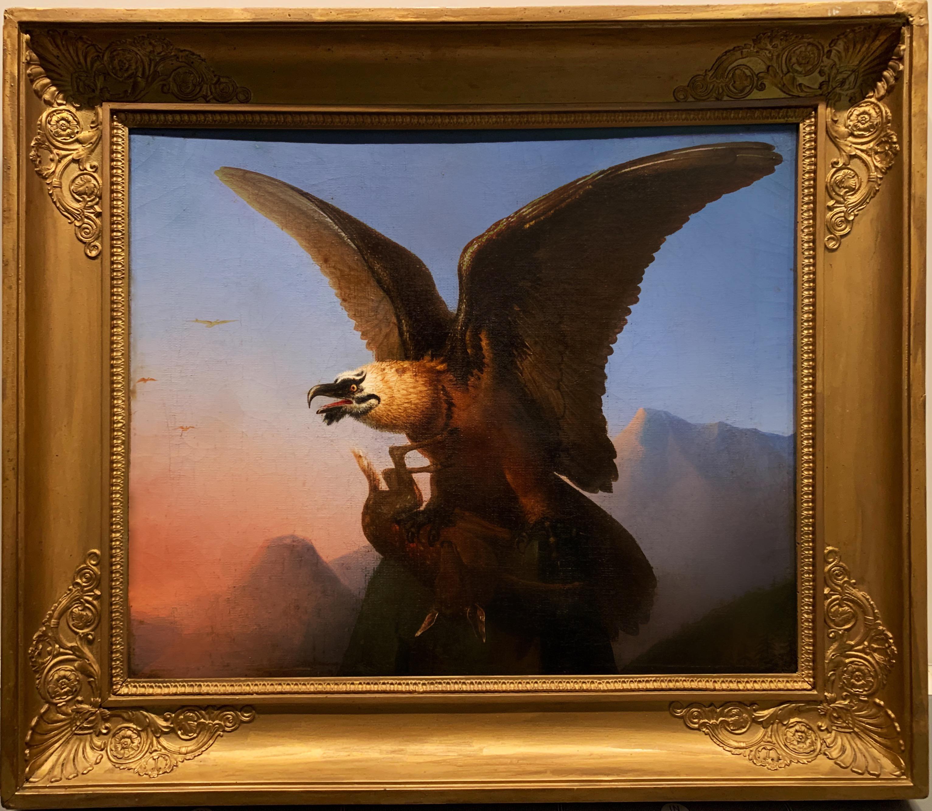 Unknown Landscape Painting - 19th century French Bird of Prey painting "Vautour des Alpes" Regency Eagle