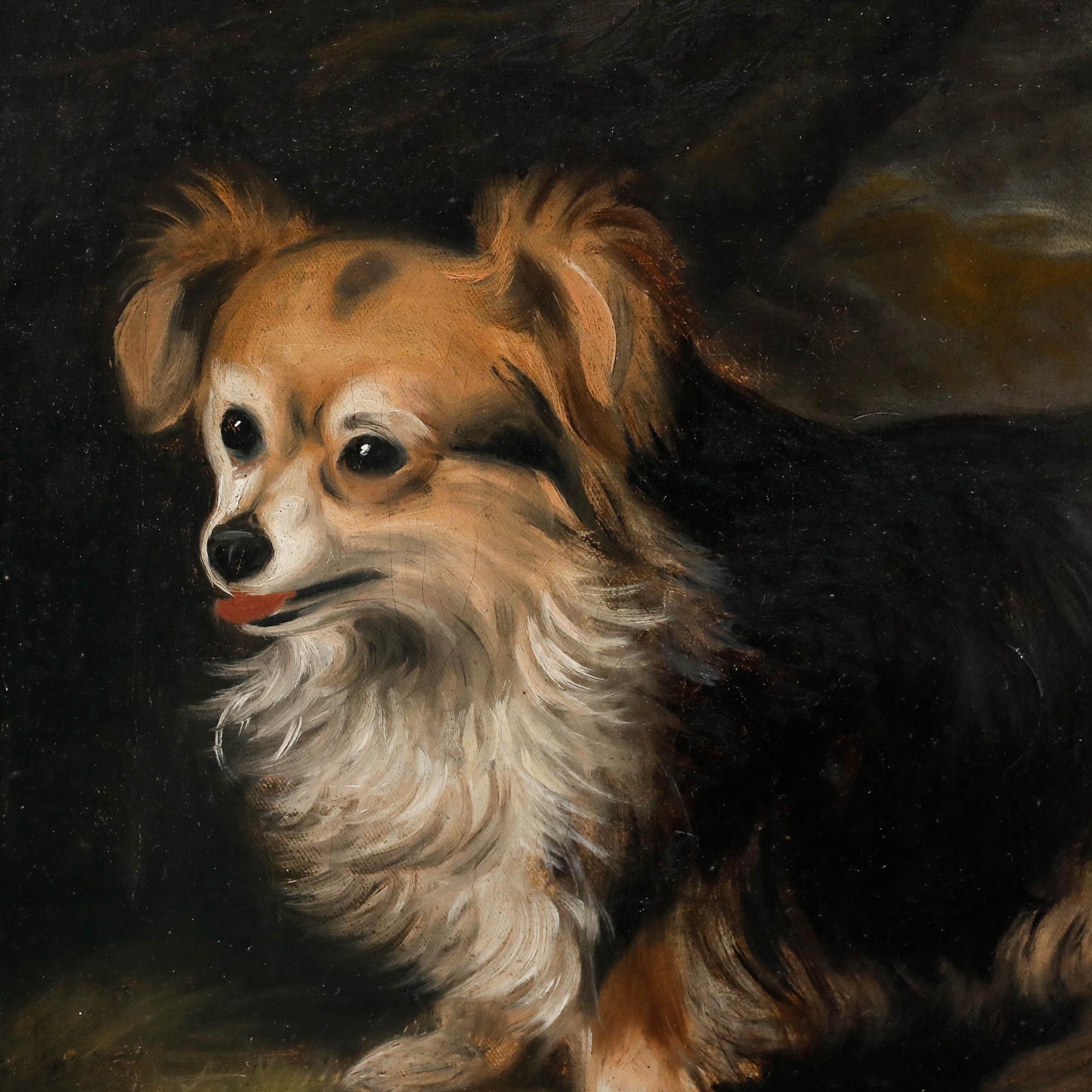 Un affascinante ritratto del XIX secolo che raffigura un Papillon gioioso. Il suo manto setoso e fluente e i suoi occhi brillanti e intelligenti sono resi con dettagli squisiti, su uno sfondo scuro che accentua la ricchezza delle trame e i colori