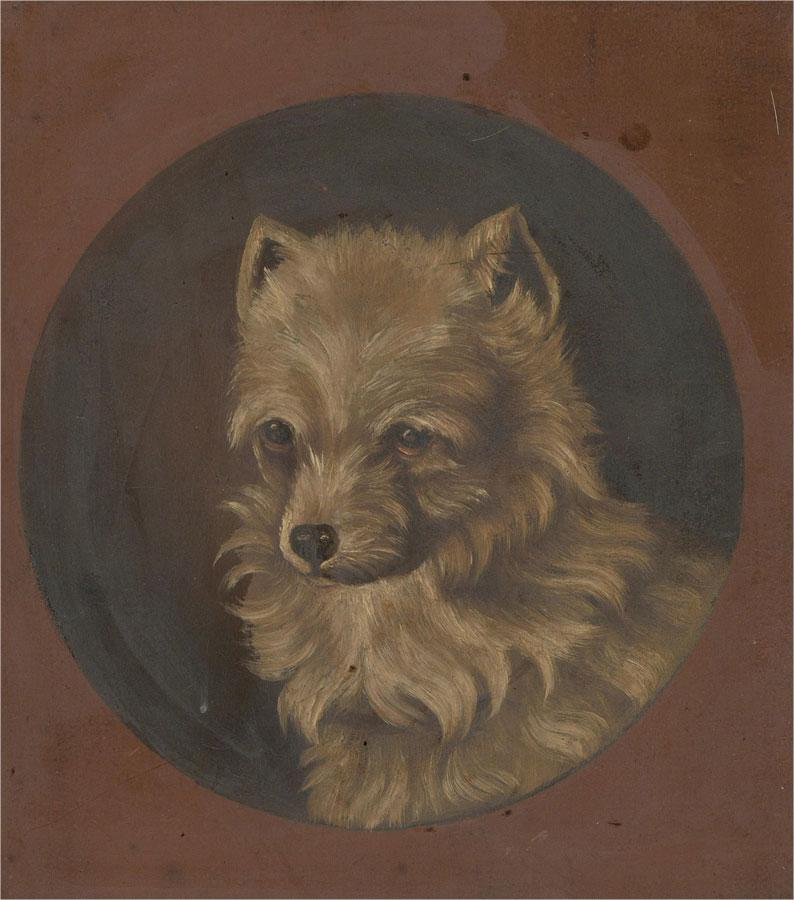 norwich terrier art