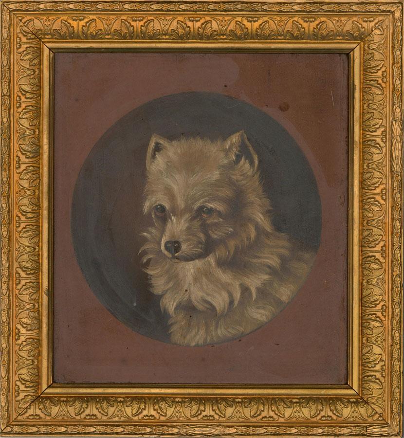 Unknown Animal Painting - 19th Century Oil - Norwich Terrier