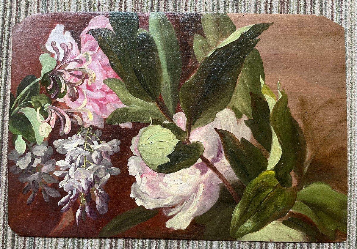 Œuvre du XIXe siècle - Étude de pivoines et de glycines - Painting de Unknown